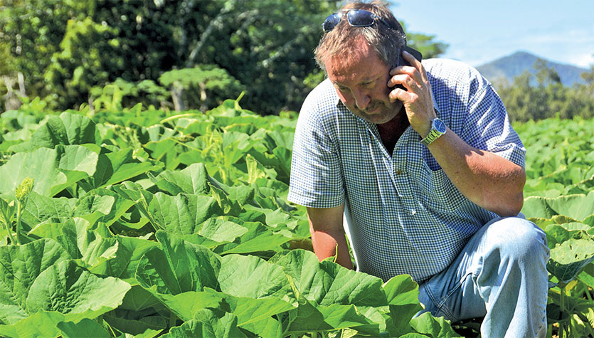 Impossible de se réfugier au calme dans ses champs de squashs : depuis le début de la semaine, le téléphone d’Andrew Bone n’arrête pas de sonner. Photo P. Ch.