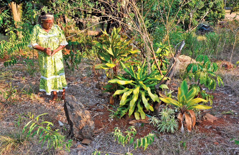 Evelyne Kananou a perdu sa petite Olane, à la tribu de Gouareu. Des plantes grandissent à l’endroit même où le corps de l’enfant a été retrouvé. Ph. Y.M