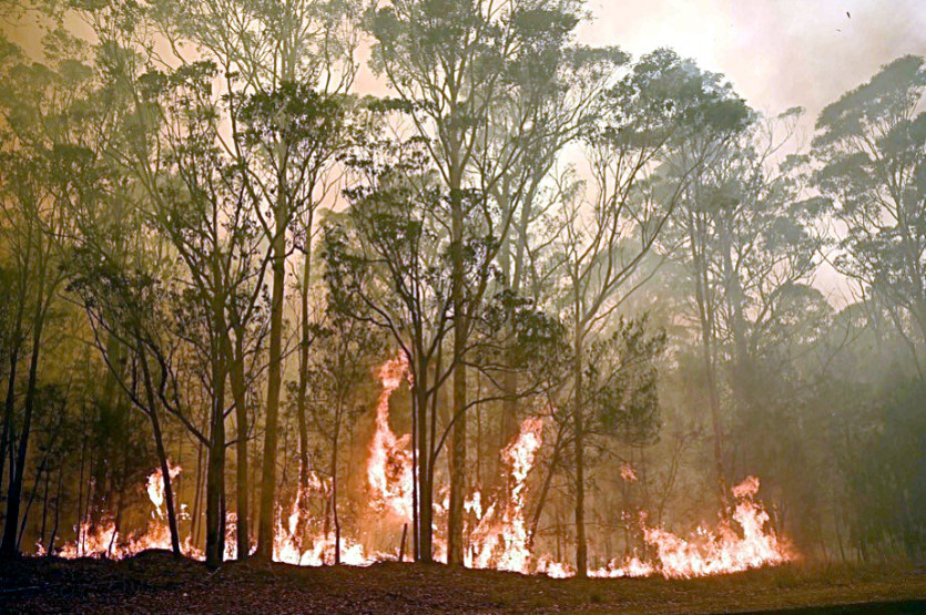 Terrible bushfires in Queensland