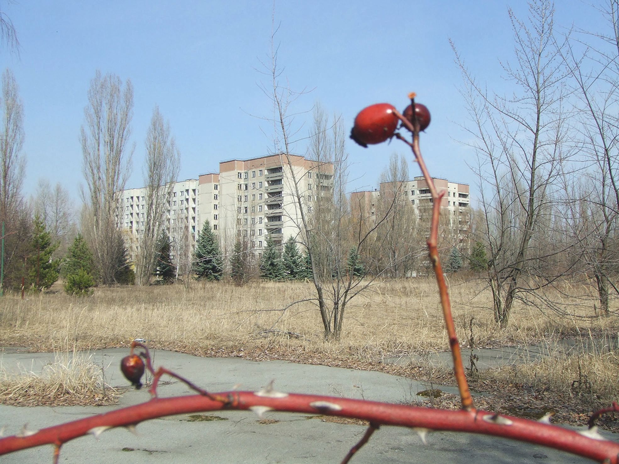 Le solaire, une opportunité pour exploiter l’immense zone vide de 30 kilomètres autour de la centrale.