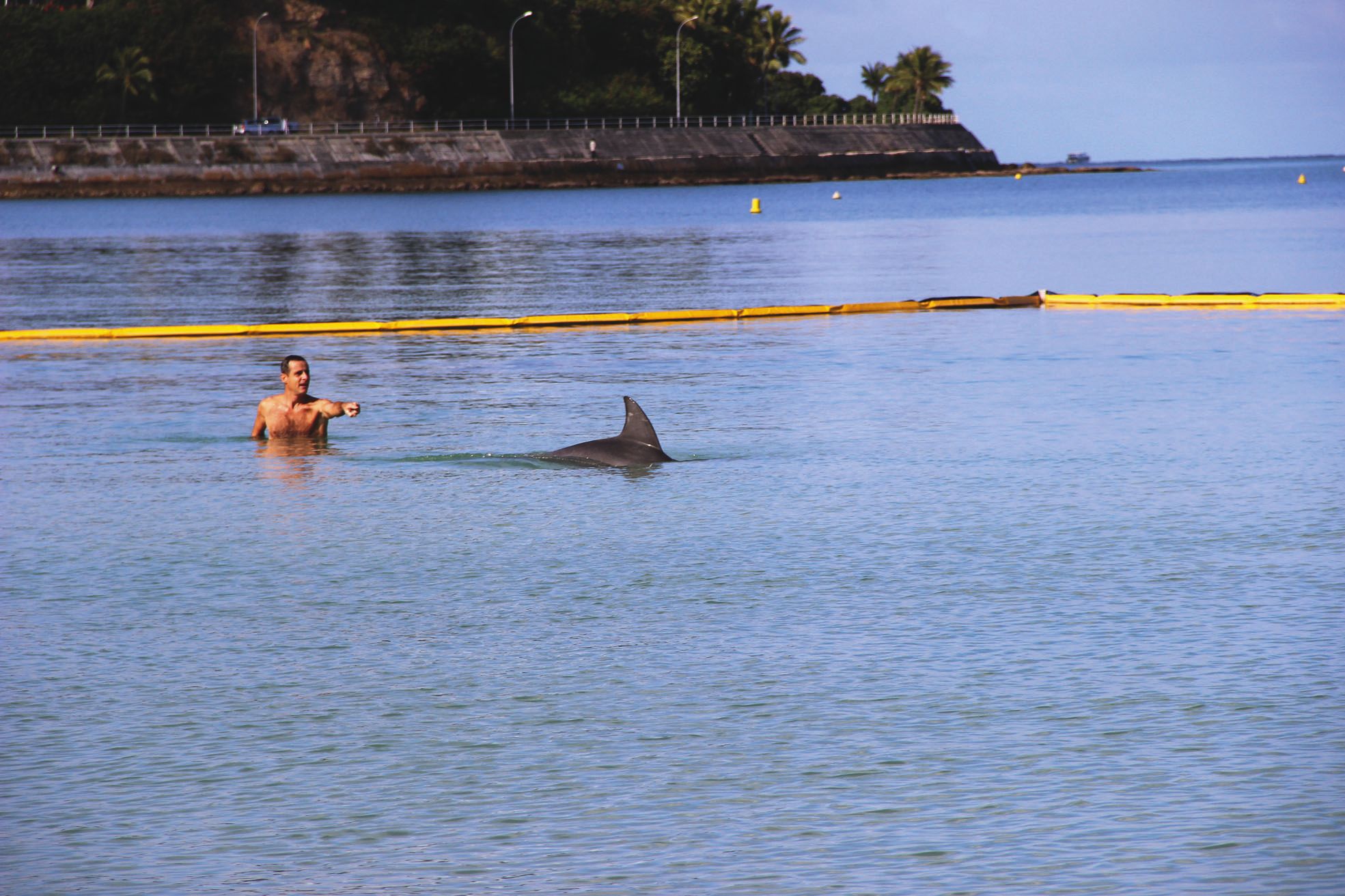 Les nageurs se sont approchés au plus près du dauphin.