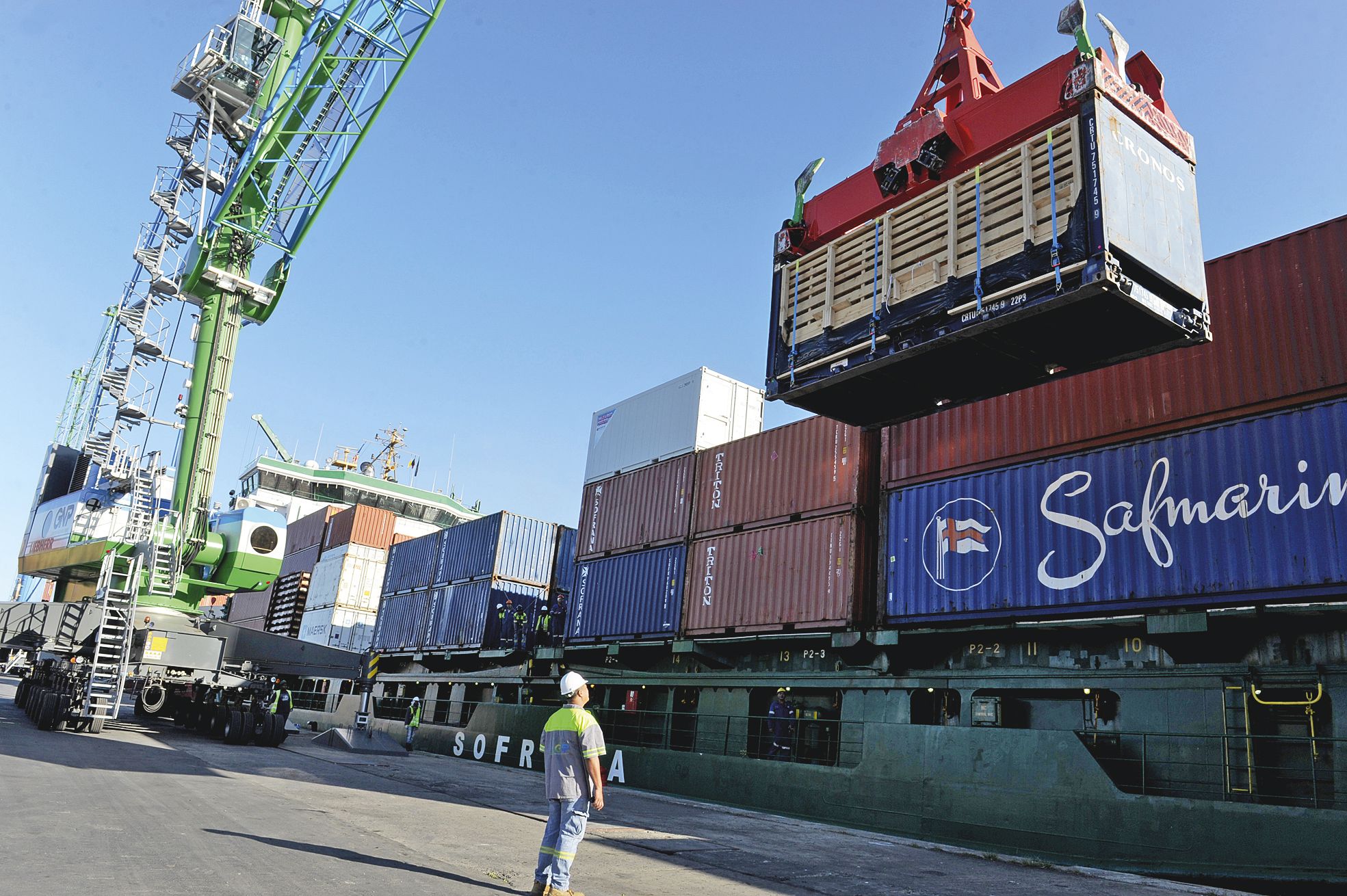 Transport minutieux de la cage en bois vers le quai, avant qu’elle ne soit transportée vers la quarantaine.