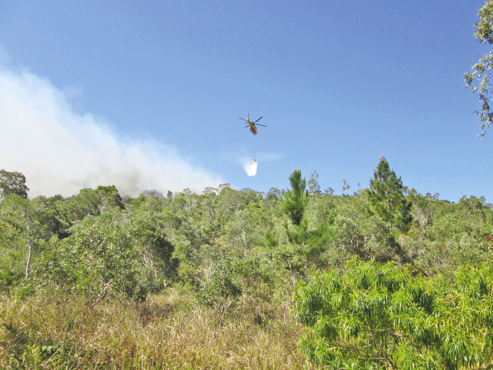 Chaque année, de nombreux feux se déclarent sur la commune de Ouégoa, souvent dans des massifs difficiles d’accès.