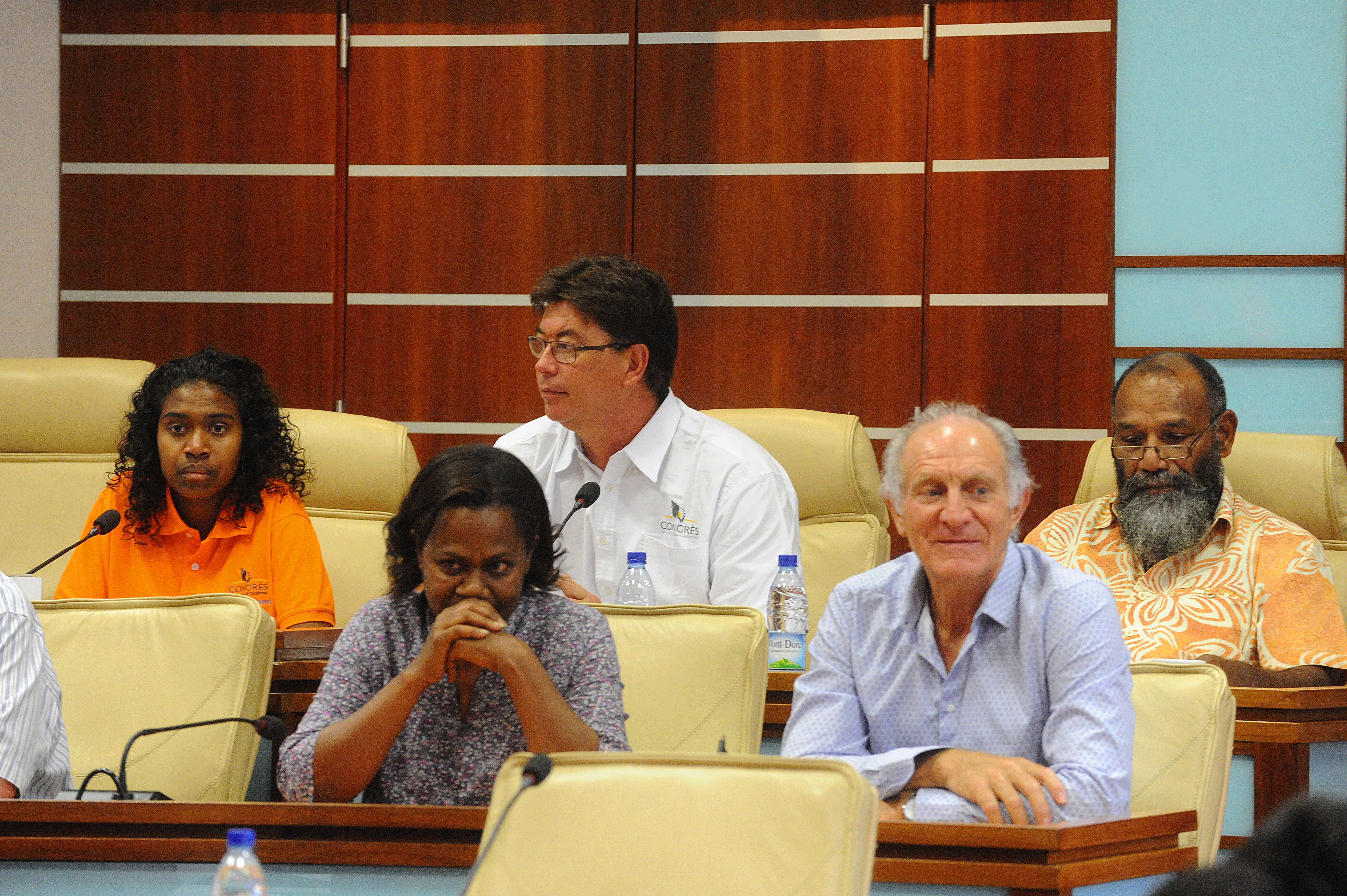 La présidente du congrès des jeunes, Paule Lepeu (à gauche), accompagnée par Thierry Santa, Hélène Iekawé et Jean-Charles Ringard-Flament, a orchestré les débats avec brio.
