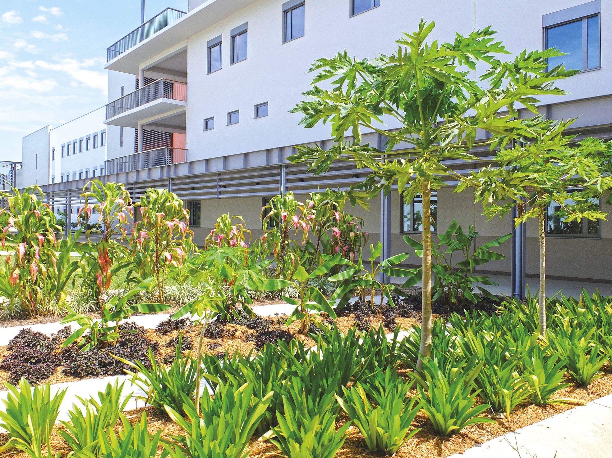 Le jardin des traversées a été conçu de façon à pouvoir s’y balader  tel un voyage dans le temps.
