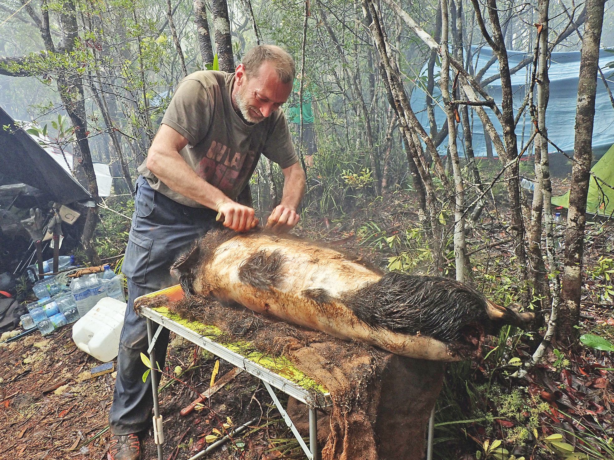 Le mauvais temps empêche le ravitaillement de la Côte oubliée par  hélicoptère. Olivier Gargominy, expert ès mollusques terrestres, s’adapte.