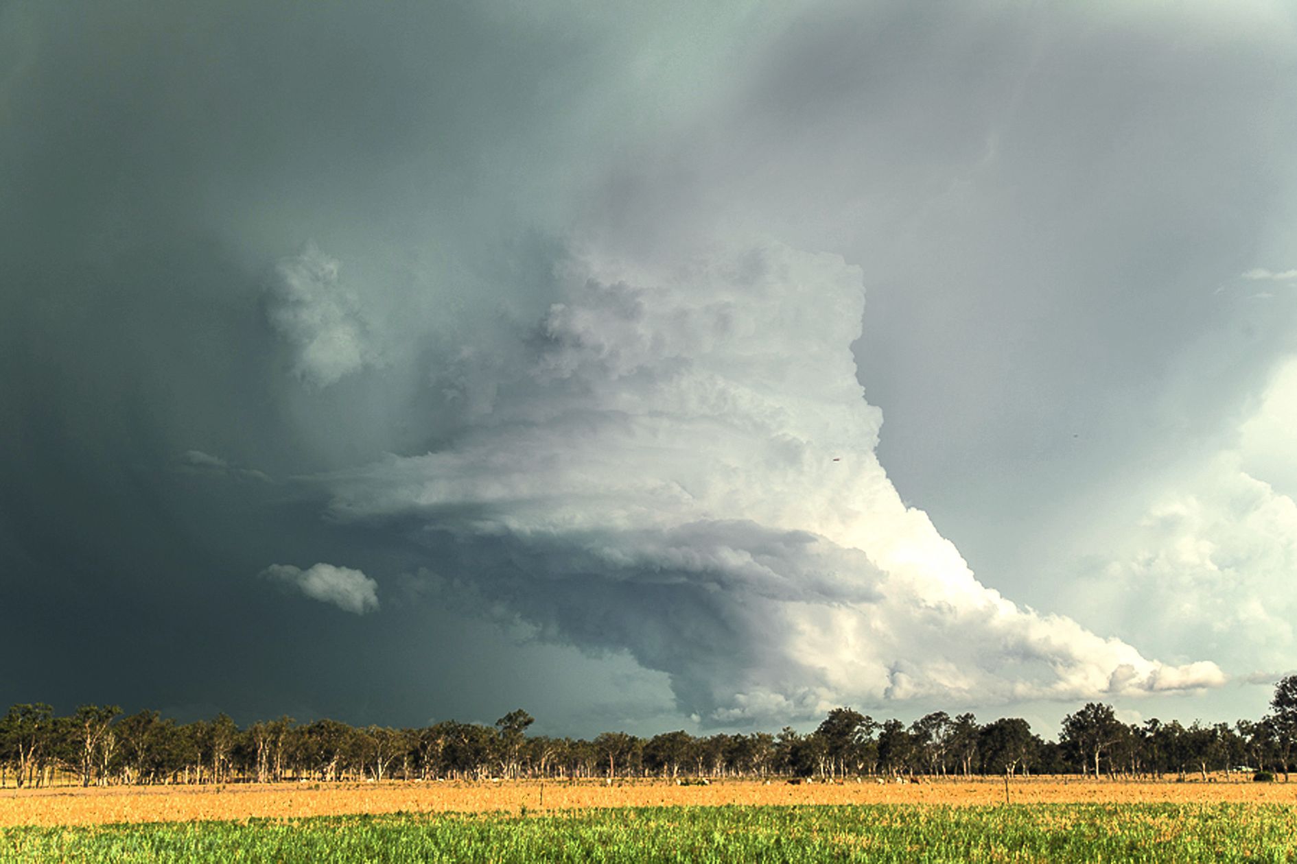 Prise le 1er décembre dans le Queensland, cette photo illustre une supercellule orageuse. Soit une cellule géante, pouvant couvrir plusieurs dizaines de kilomètres de large.