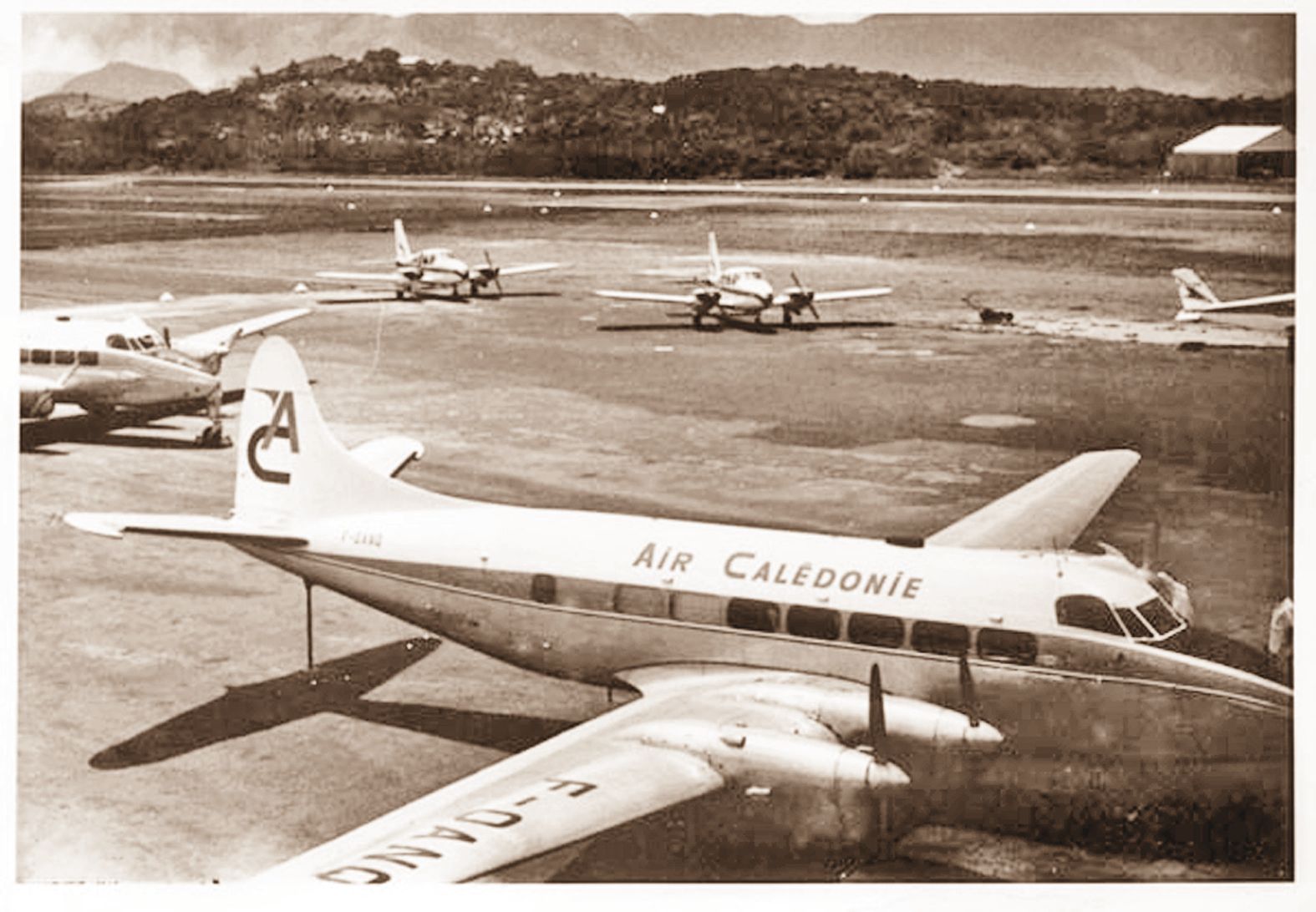 Aérodrome de Magenta, en 1968. Au premier plan, le Héron F-OANQ vient de troquer les couleurs de la Transpac contre celles de la jeune Air Calédonie. Le « Héron de Saint-Louis » est « le seul des trois avions qui arborait encore les couleurs de laTranspac