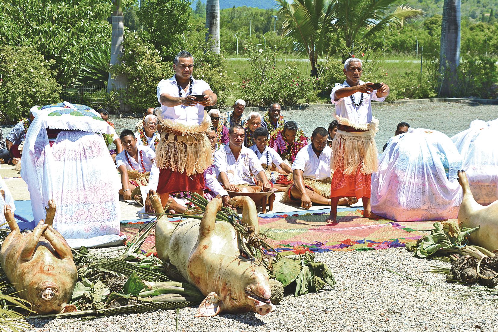 La cérémonie de préparation et de distribution du kava est autant codifiée que spectaculaire.