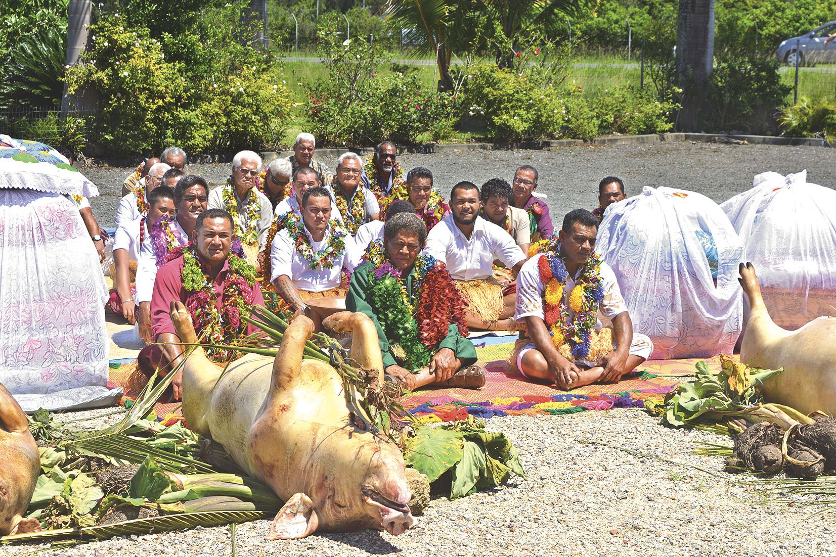 Soane Togiaki Kalafilia (au centre) a été intronisé petit chef de Vaimalau, hier, au Fale fono. Comme l’exige la coutume, de nombreux cadeaux ont été préparés, à commencer par les cochons et d’innombrables couvre-lits, en guise de tapa et de nattes.