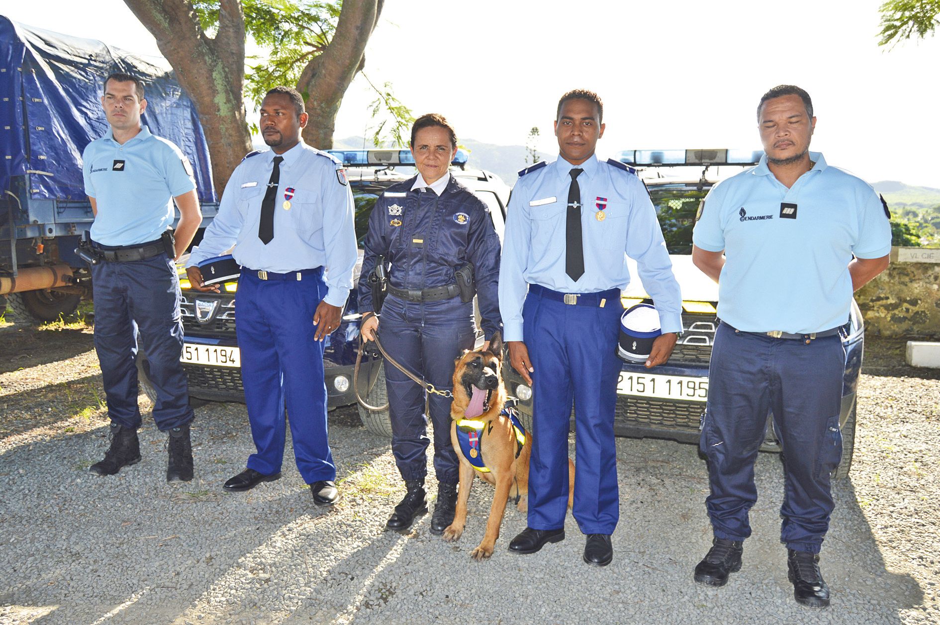 Cinq gendarmes ont reçu une médaille ou une lettre de félicitations. Gloster, le malinois,  a été décoré.
