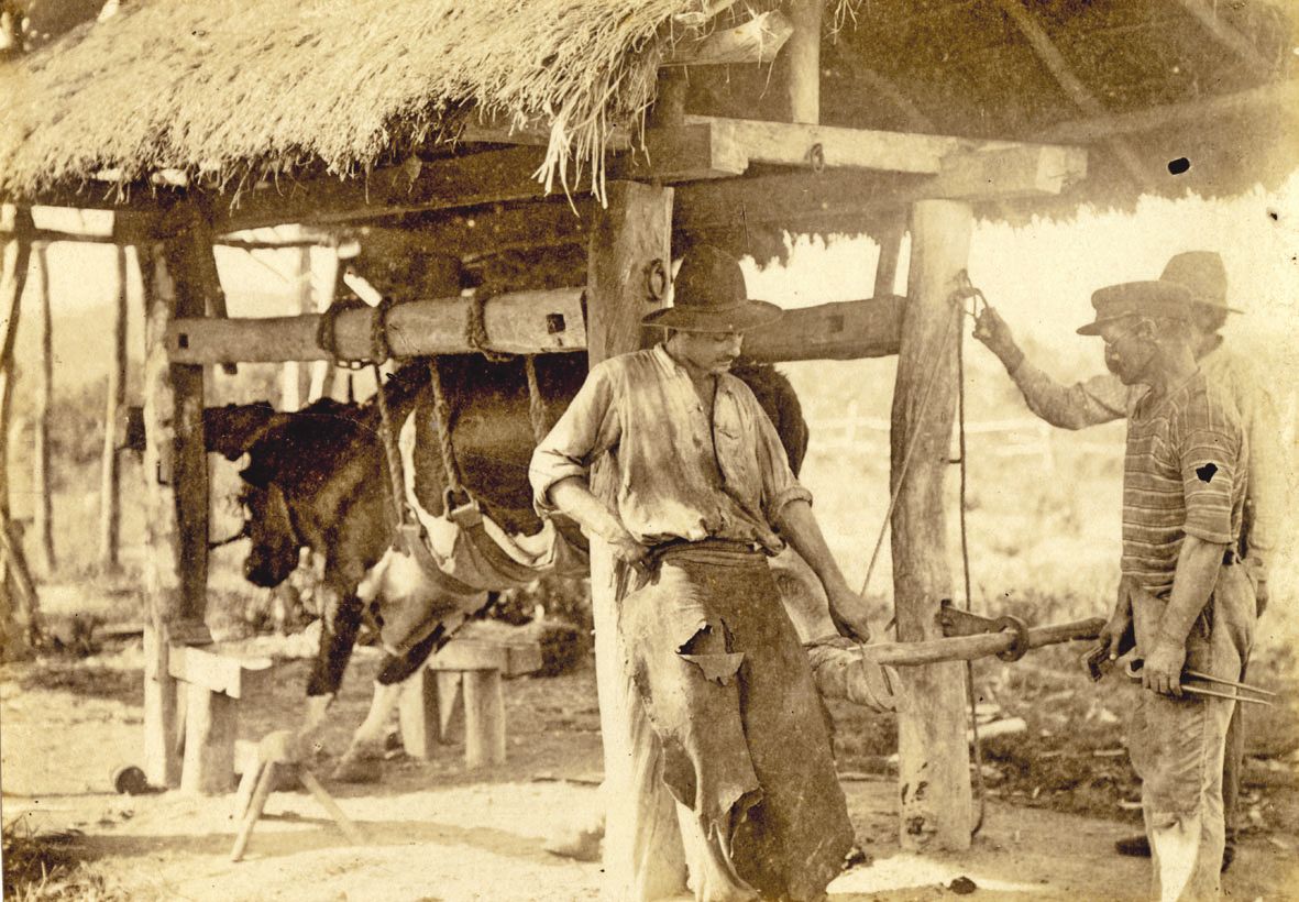 Jean-Albert, né le 6 février 1887, était maréchal-ferrant au moment de sa mobilisation en avril 1915. Au front, il est blessé au bras par une baïonnette, en Macédoine, et est évacué pour gelure aux pieds. Décoré de la Croix de guerre du combattant, de la 