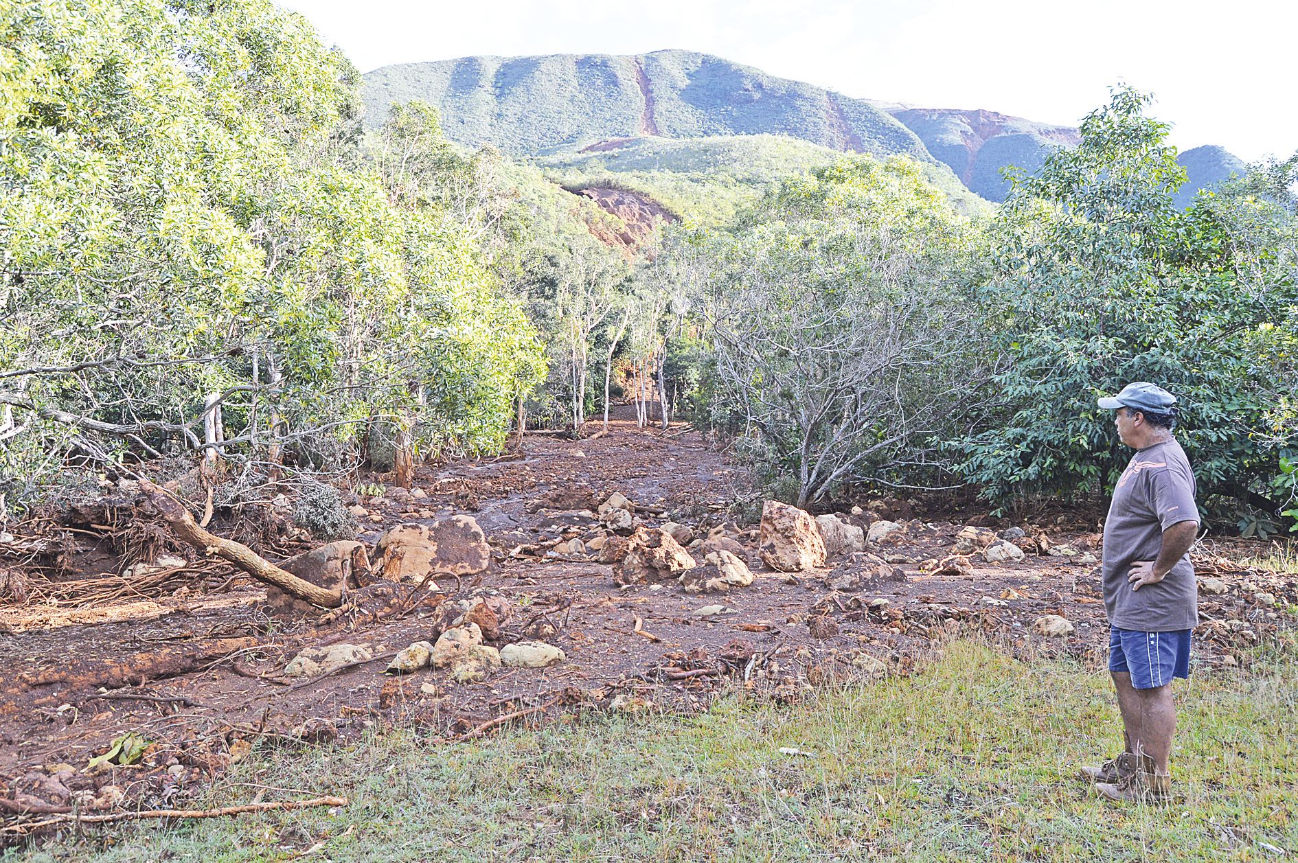 Sur une bande plus ou moins large, le sol est recouvert de latérite. « Avant, il y avait de l’herbe verte partout. »