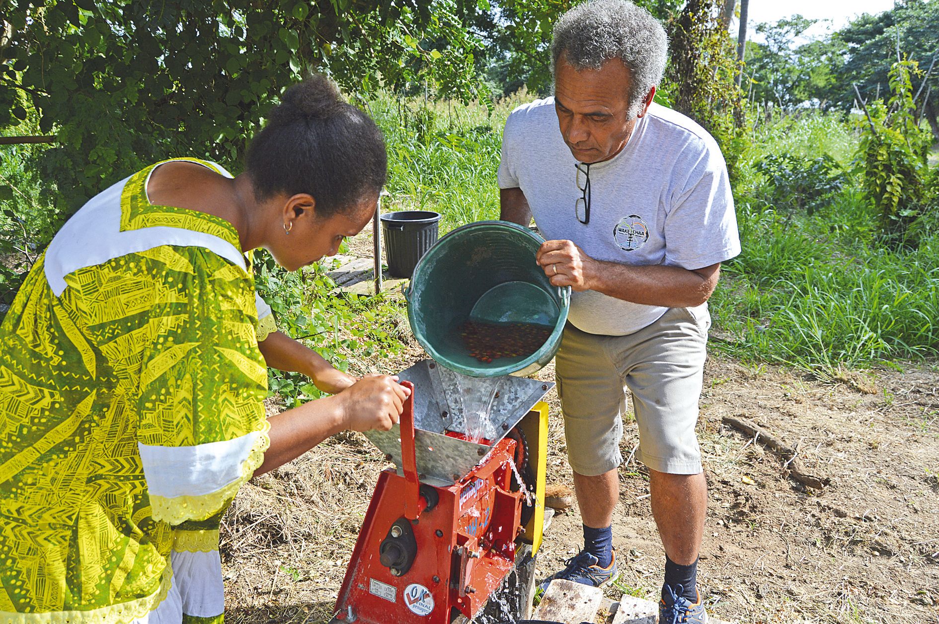 Camalé, le 24 avril. Valentine et José Kabar dépulpent les cerises rouges cueillies par les enfants volontaires de la tribu de Gatope. A l’issue de la récolte, une quinzaine de kilos de café vert devraient être obtenus.