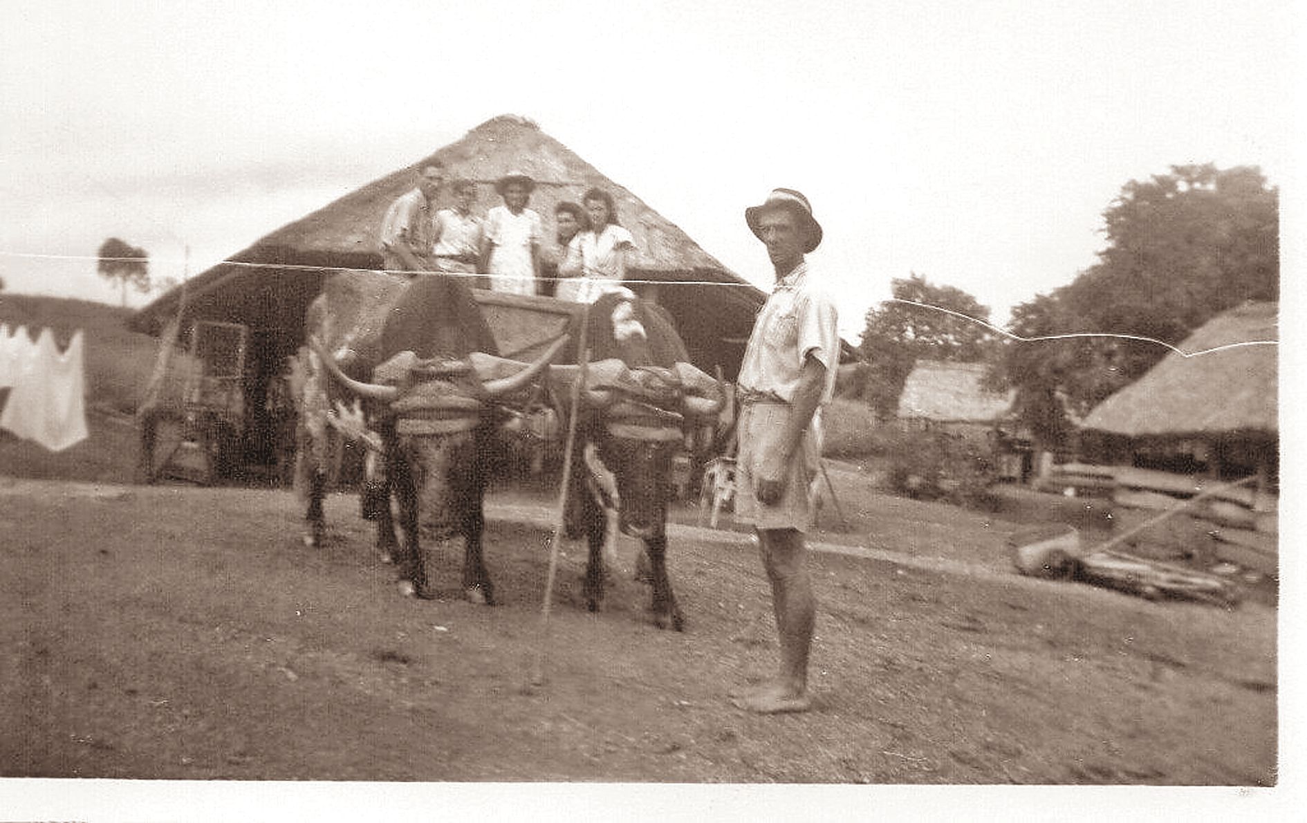Les enfants de Joseph : Maurice au 1er plan et dans la voiture à bœufs : Auguste et sa femme Juliette, Alexandre, Angèle.