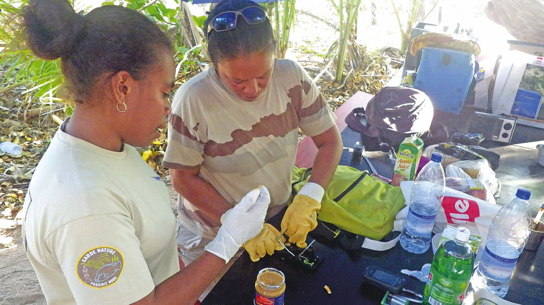 Les deux gardes nature préparent un piège avec une  tapette à rat et du beurre de cacahuète en appât.