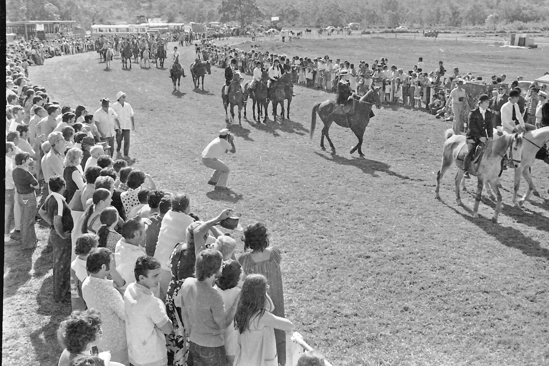 La Foire, dès 1978, adopte une double dimension, professionnelle et festive. Lors des parades d’animaux, certains apprécient le spectacle quand d’autres repèrent des bêtes de bonne race pour développer leur troupeau. D’autres événements, comme ces courses