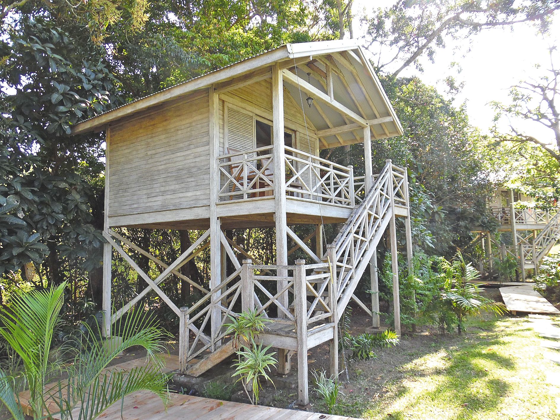 Les cabanes sont nichées dans un écrin de verdure.