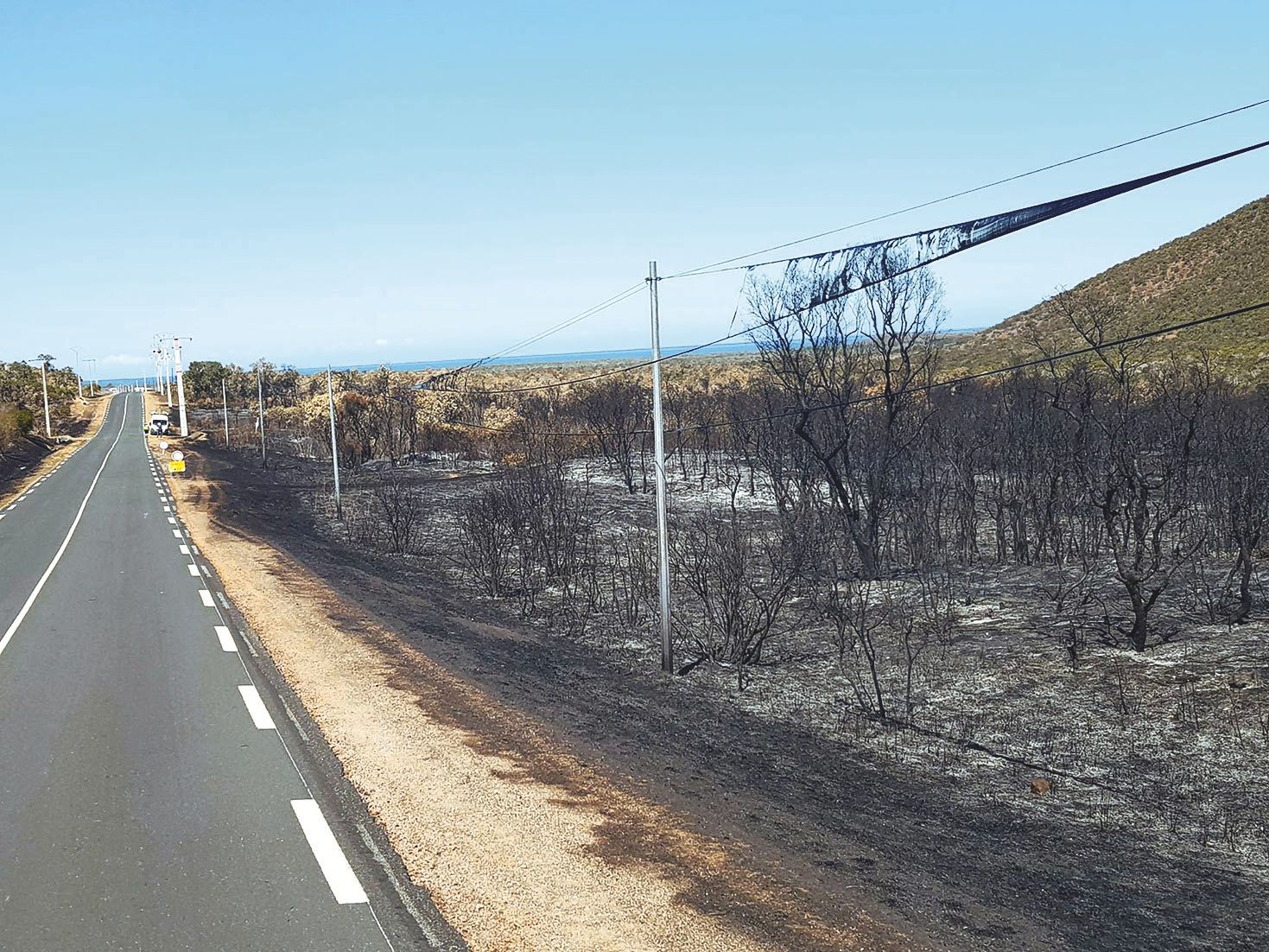 L’incendie qui a détruit près de 350 hectares de végétation et trente poteaux OPT laisse derrière lui un paysage de désolation aux abords de la RT1 à Koumac.