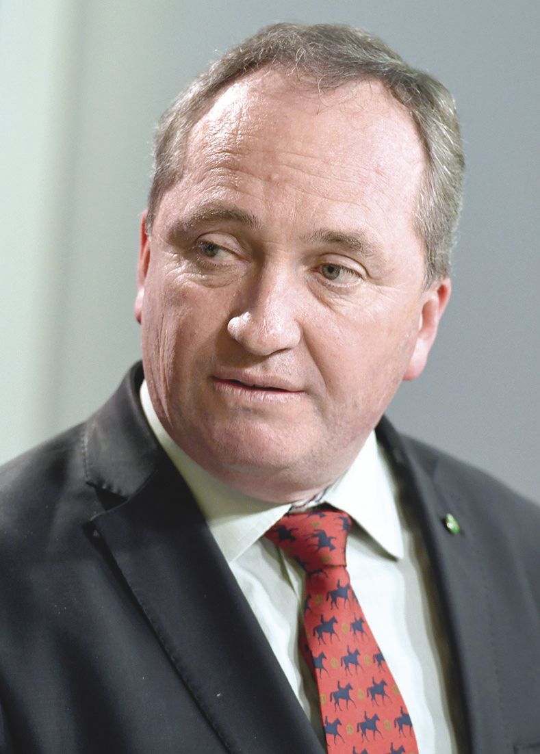 La double nationalité de Joyce Barnaby et de plusieursautres parlementaires est au cœur de la polémique. Selon la loi, elle ne permet pas de faire partie du gouvernement.