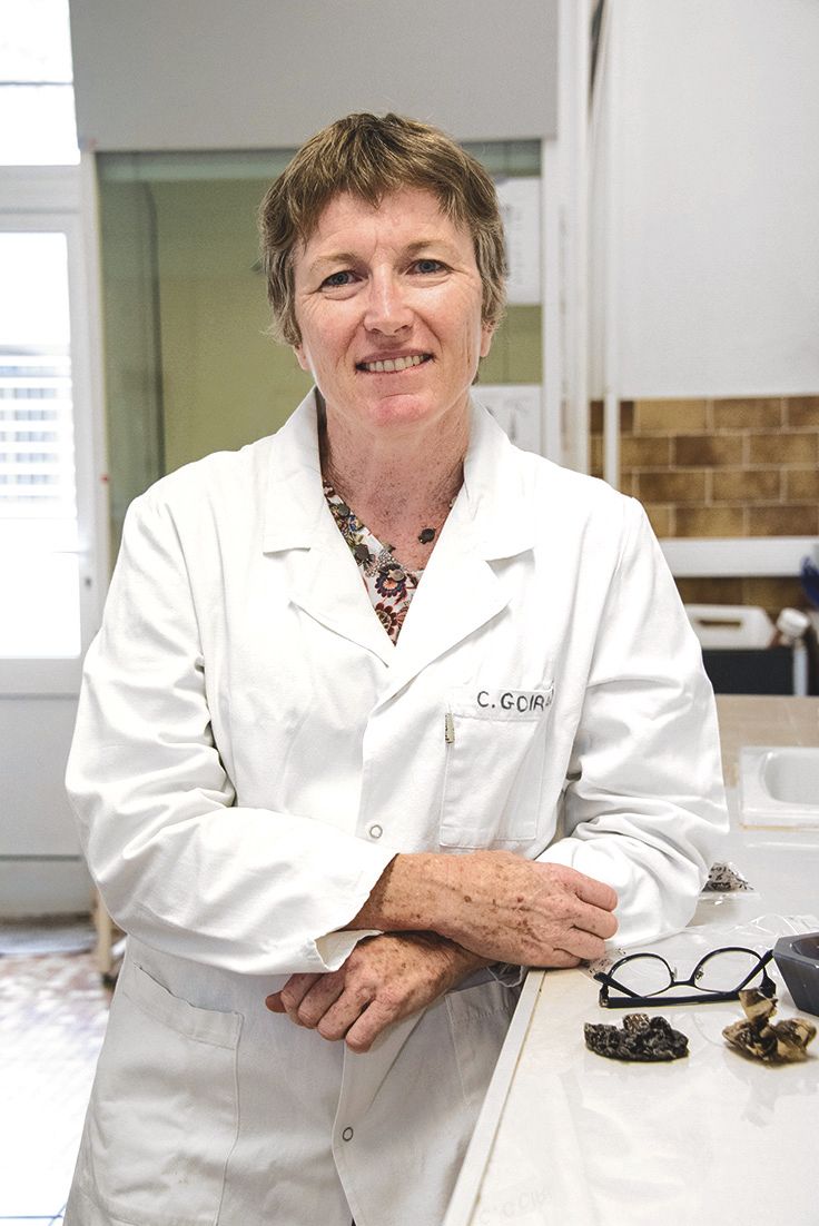 Claire Goiran est biologiste marin à l’UNC. Elle a repris le suivi des serpents de la « bédé », observés depuis 15 ans.