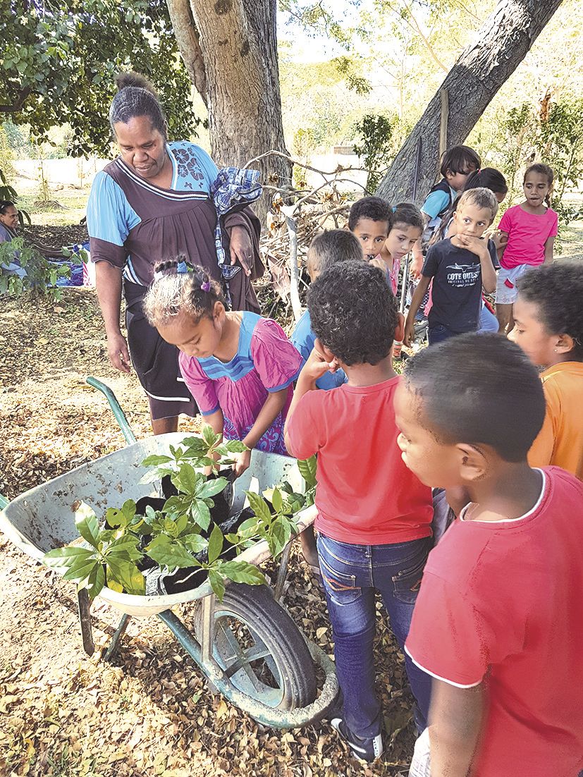 Les petits ont mis en terre des plants de café Leroy.