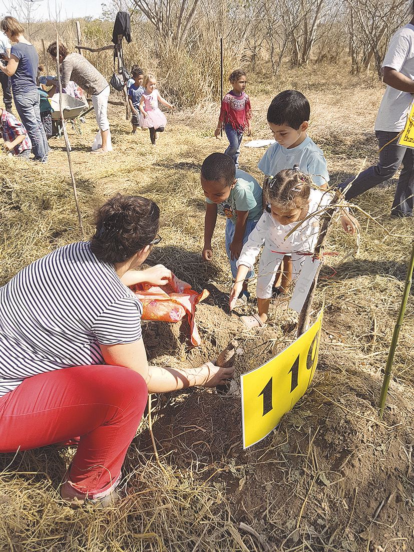 Anaë, Marwan et Enzo, de petite section de maternelle, plantent une igname.
