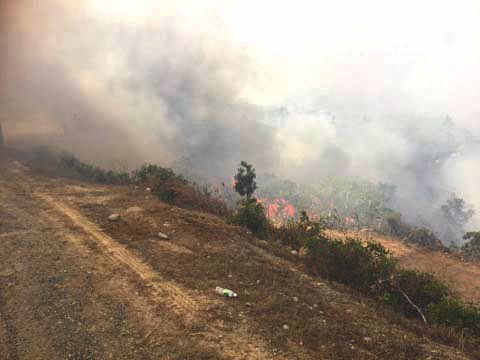 Depuis jeudi après-midi, l’incendie a détruit une centaine d’hectares à Ouégoa. Le feu était en passe d’être sous contrôle en fin de journée d’hier.