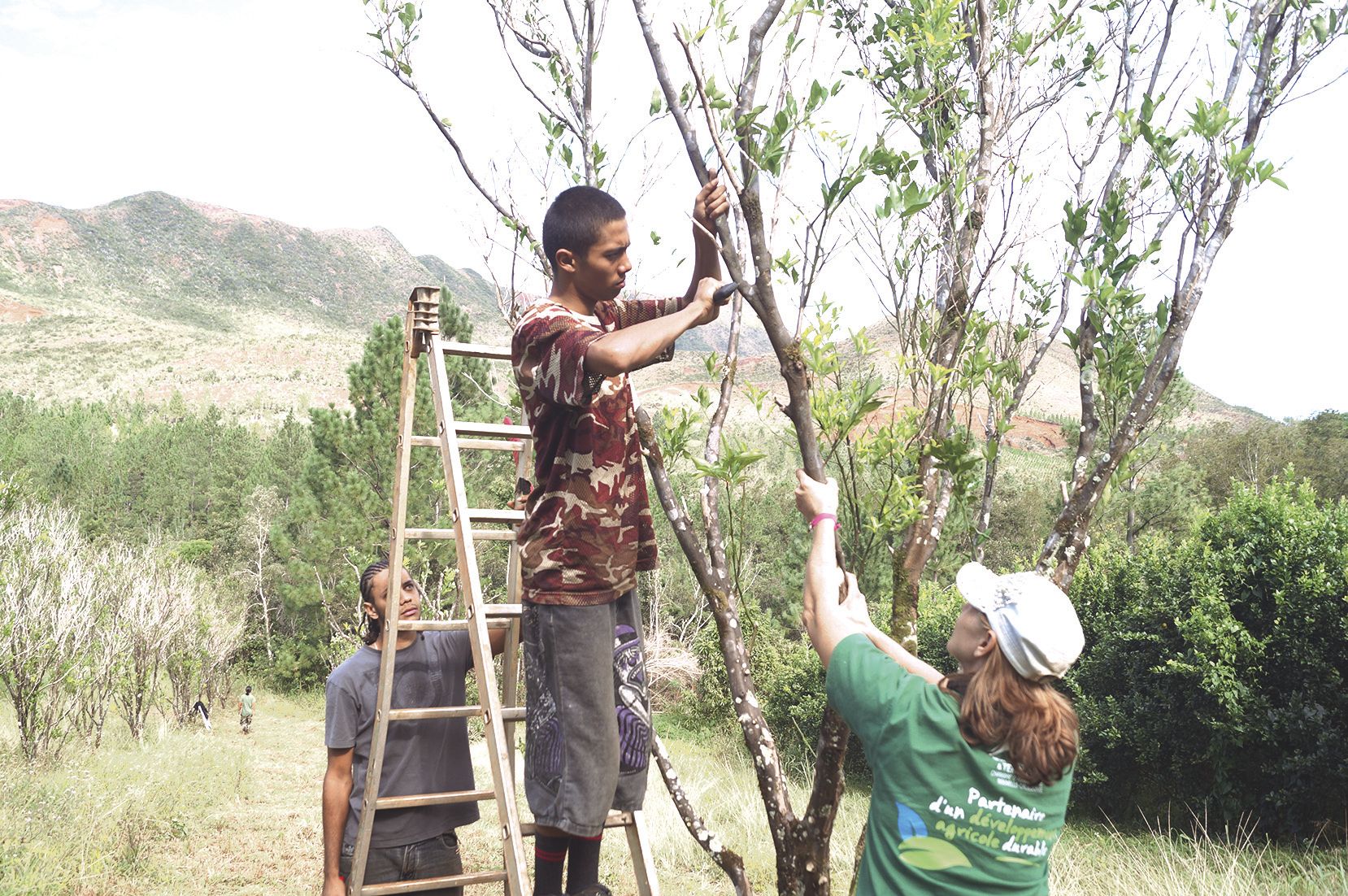 Benjamin et Maxime sur la plantation de Claudine Verger.