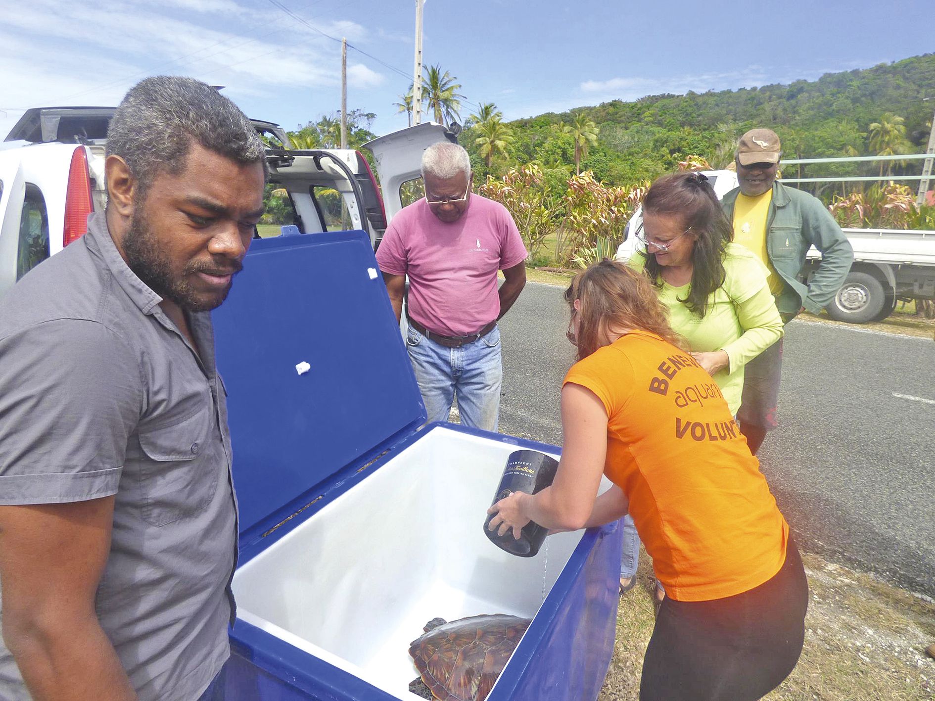 Durant son transport, la tortue a été régulièrement imprégnée d’eau de mer, humidifiée et hydratée.