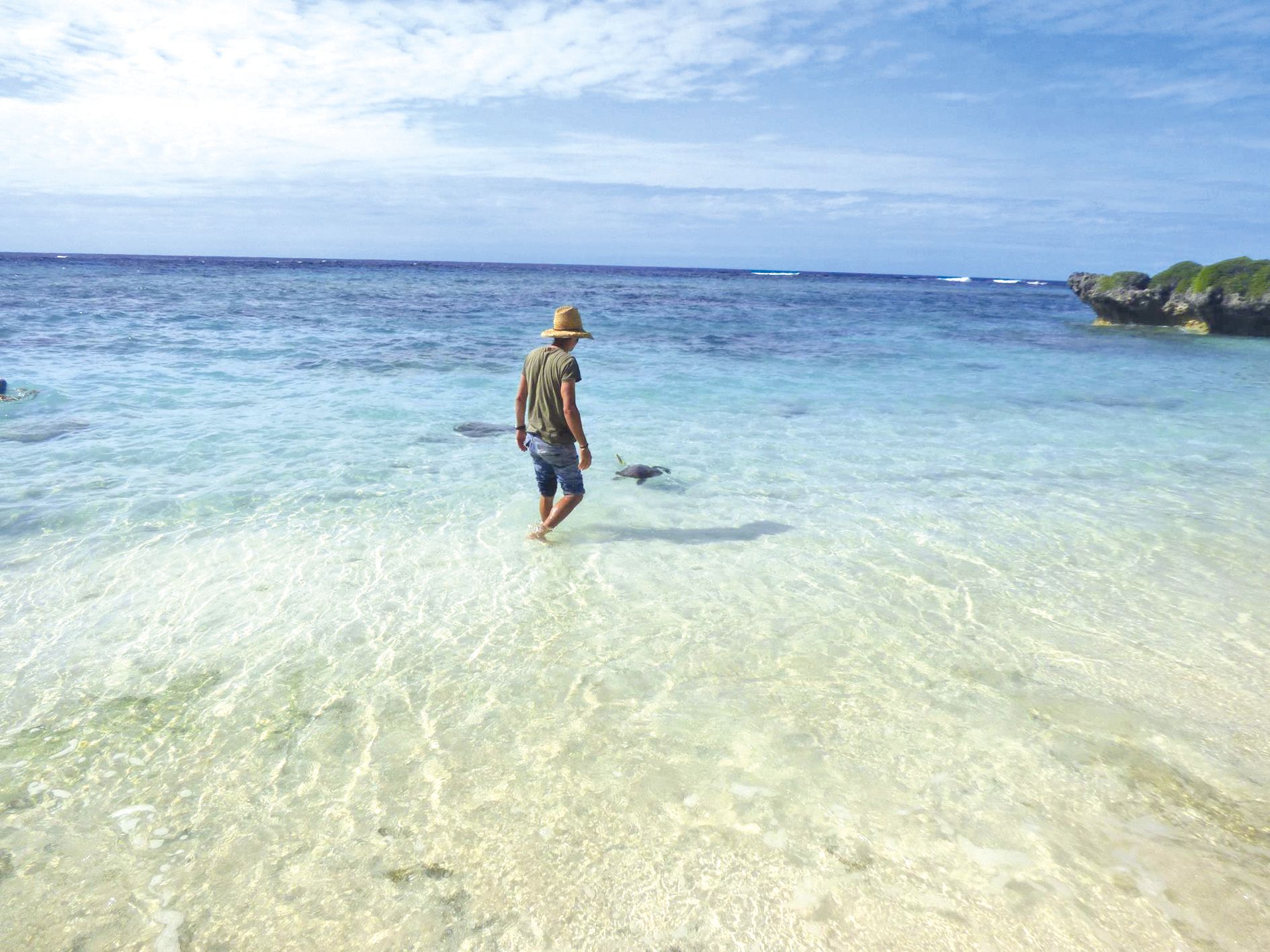 Antoine Barnaud, le vétérinaire de la PIL, a procédé au  lâcher de la tortue, qui a aussitôt disparu sous les eaux.