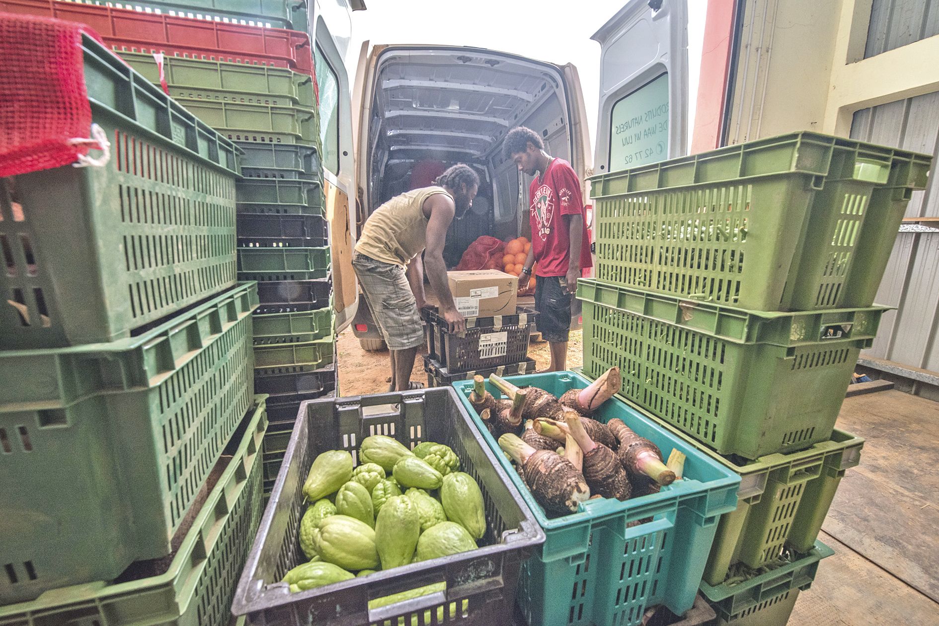 Chouchoute, taro, orange, poingo, haricot ou piment… Chaque semaine  l’association fixe ses tarifs d’achat en fonction de ceux de ses clients.