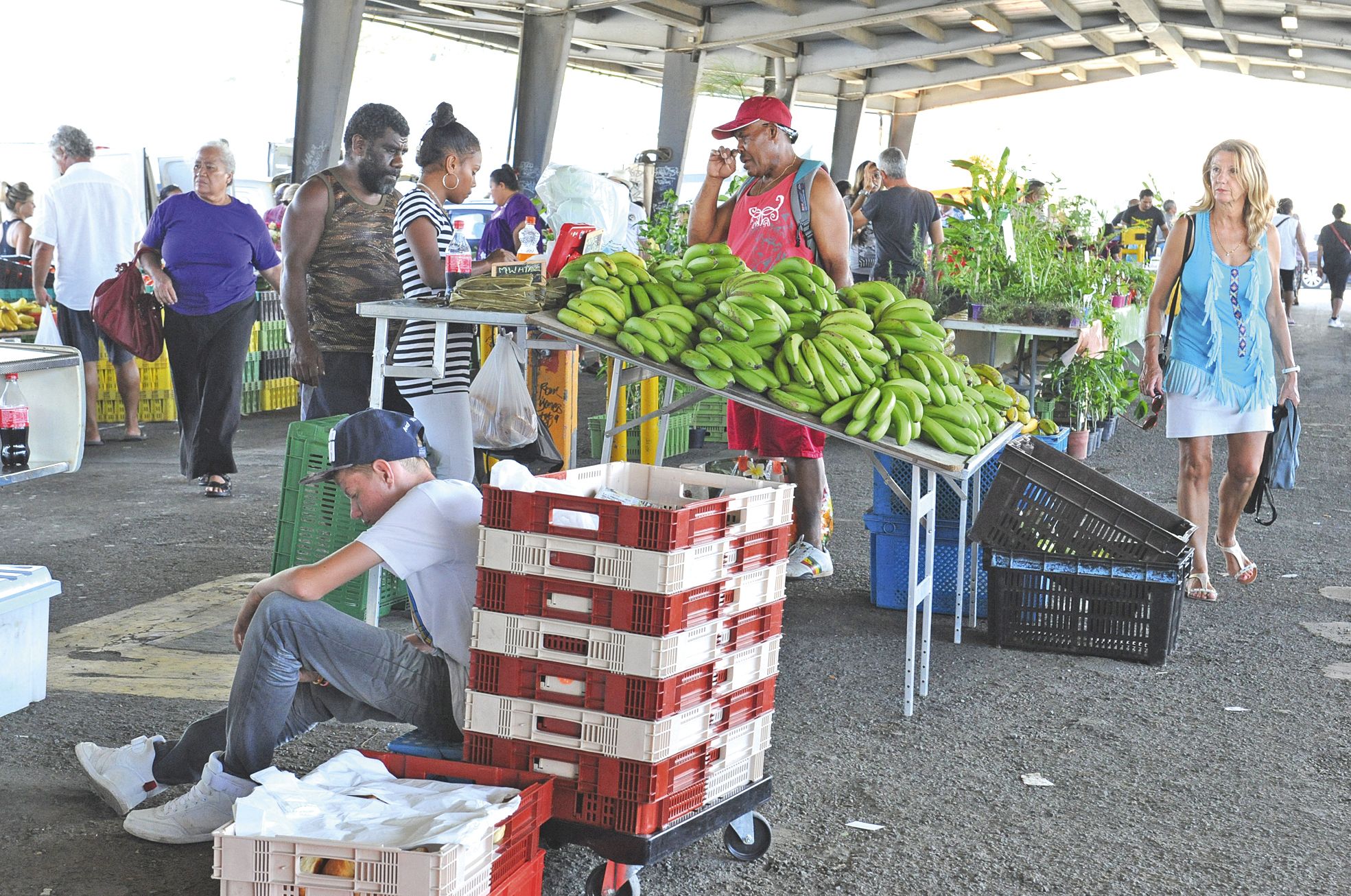 Issus de l’agriculture responsable, et proposés à des prix compétitifs, les fruits et légumes de la Coop1 arrivent au marché de Ducos.
