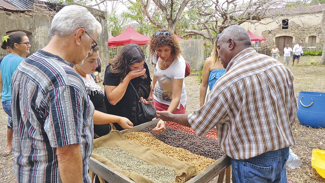 Les visiteurs ont découvert la transformation du café depuis la cueillette en passant par toutes les étapes de préparation jusqu’à la dégustation, grâce à Daniel Wanton de Sarraméa.