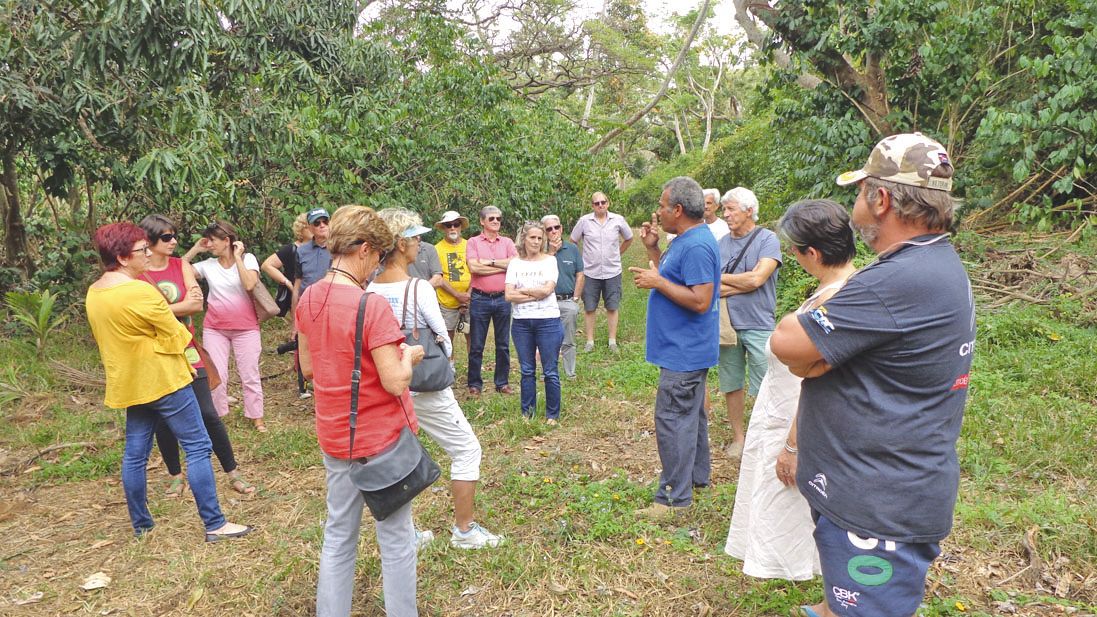 José Kabar, de l’Ecomusée de Voh, a emmené les visiteurs au travers des caféries en leur donnant toutes les explications sur la production des cerises de café.