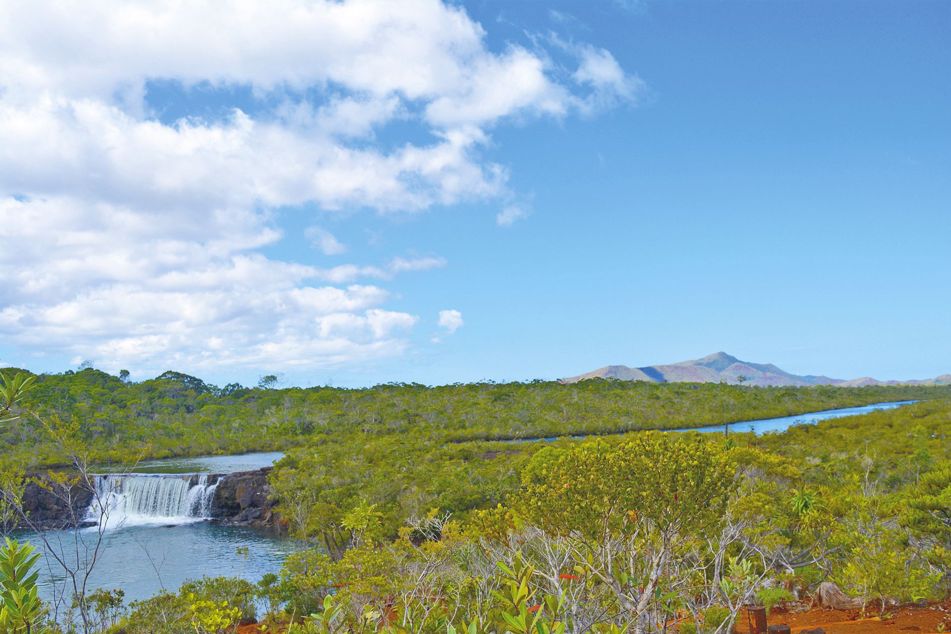 Entourées d’une végétation à 95 % endémique, les chutes de la Madeleine se trouvent au cœur de la réserve provinciale du même nom, dans la plaine des Lacs et à proximité du parc de la Rivière Bleue. À ce titre, elle est la cascade la plus connue du Grand 