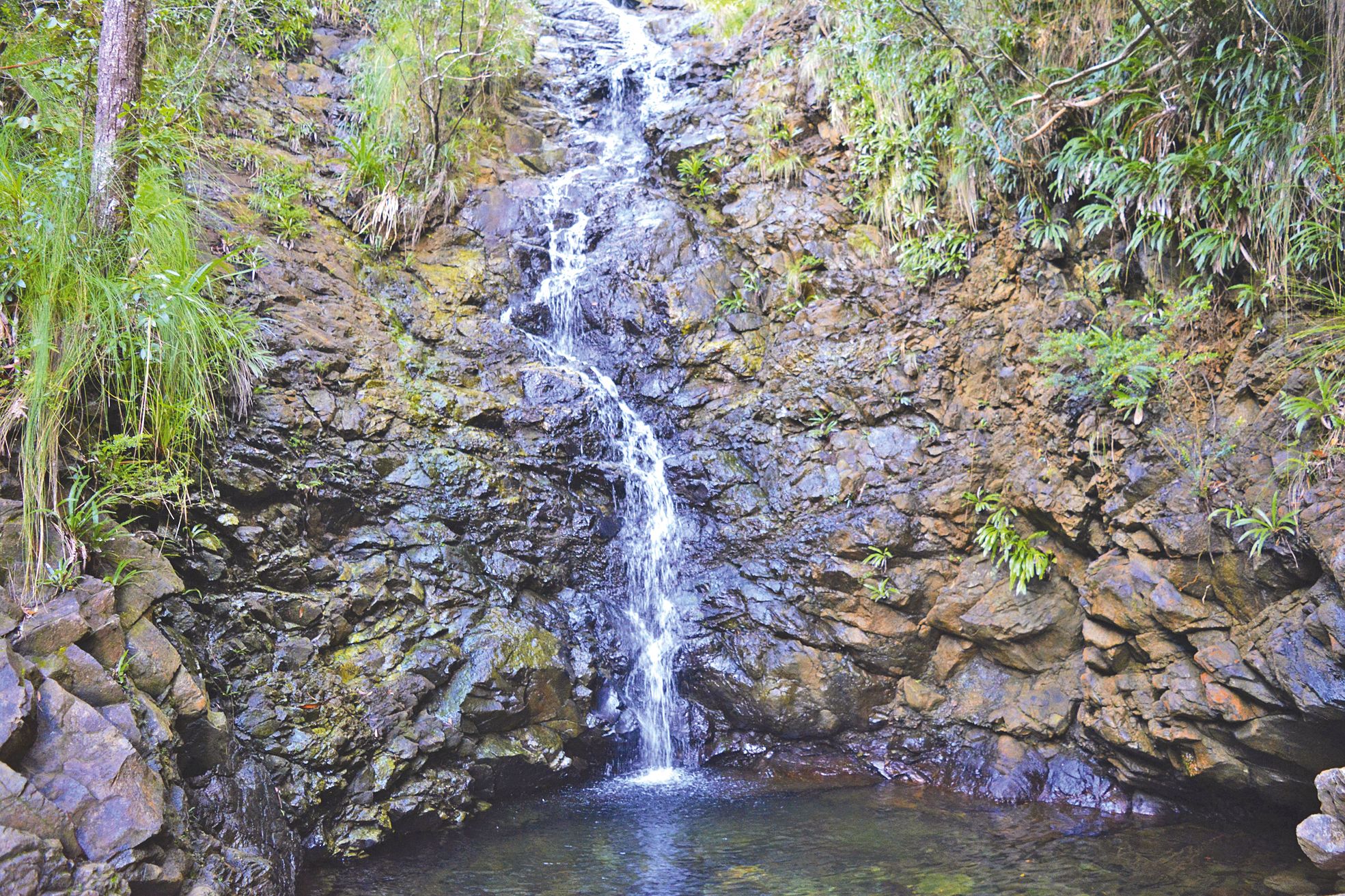 Les marcheurs qui n’optent pas pour l’ascension du pic Malaoui, au départ de l’Auberge des Koghi, atterriront sur cette petite cascade après une belle balade dans la forêt humide peuplée de palmiers endémiques.