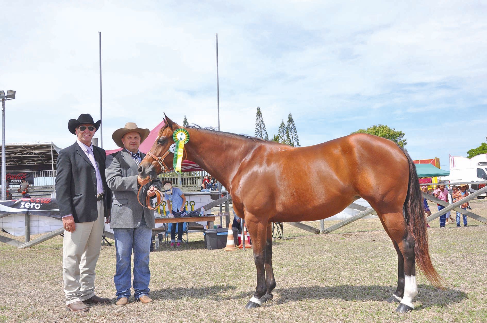 Spini Choice, championne de race Quarter Horse (propriétaire Karl Willemot)a été consacrée Superchampionne de race américaine de foire 2017 par le juge australien Peter Bellden