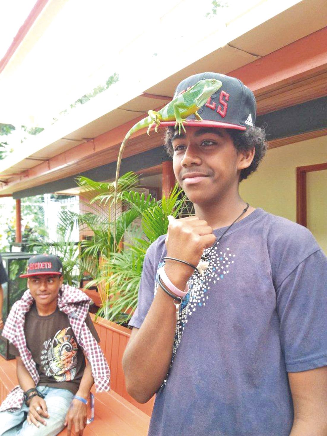 A Kula Eco Park, rencontre insolite avec les iguanes  et découverte de la flore et de la faune fidjiennes.
