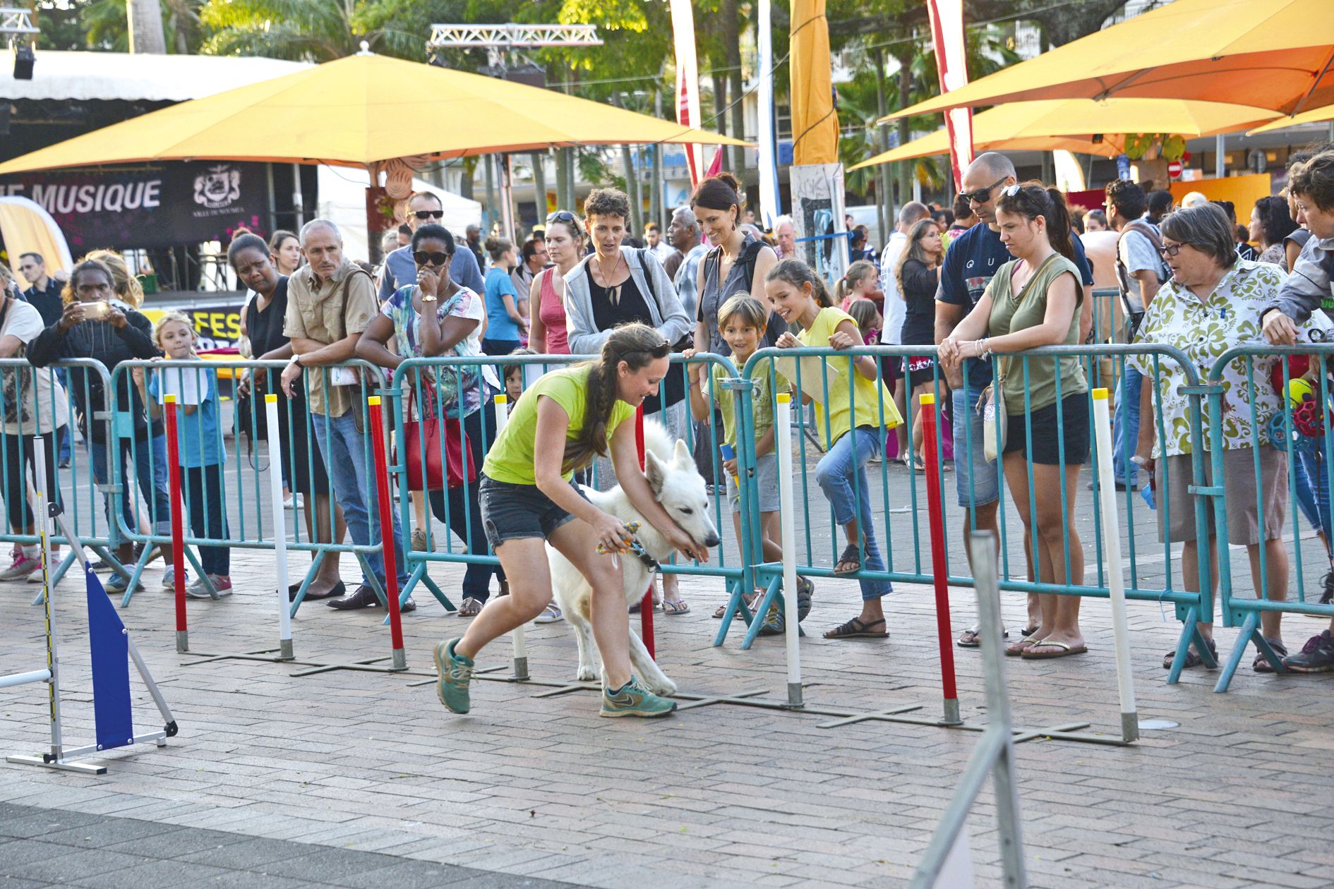 Une dizaine de chiens, accompagnés par leur maître du club canin de Dumbéa, ont montré toutes leurs qualités au cours du parcours d’agility. L’occasion pour les familles de découvrir quelques très beaux chiens de race.