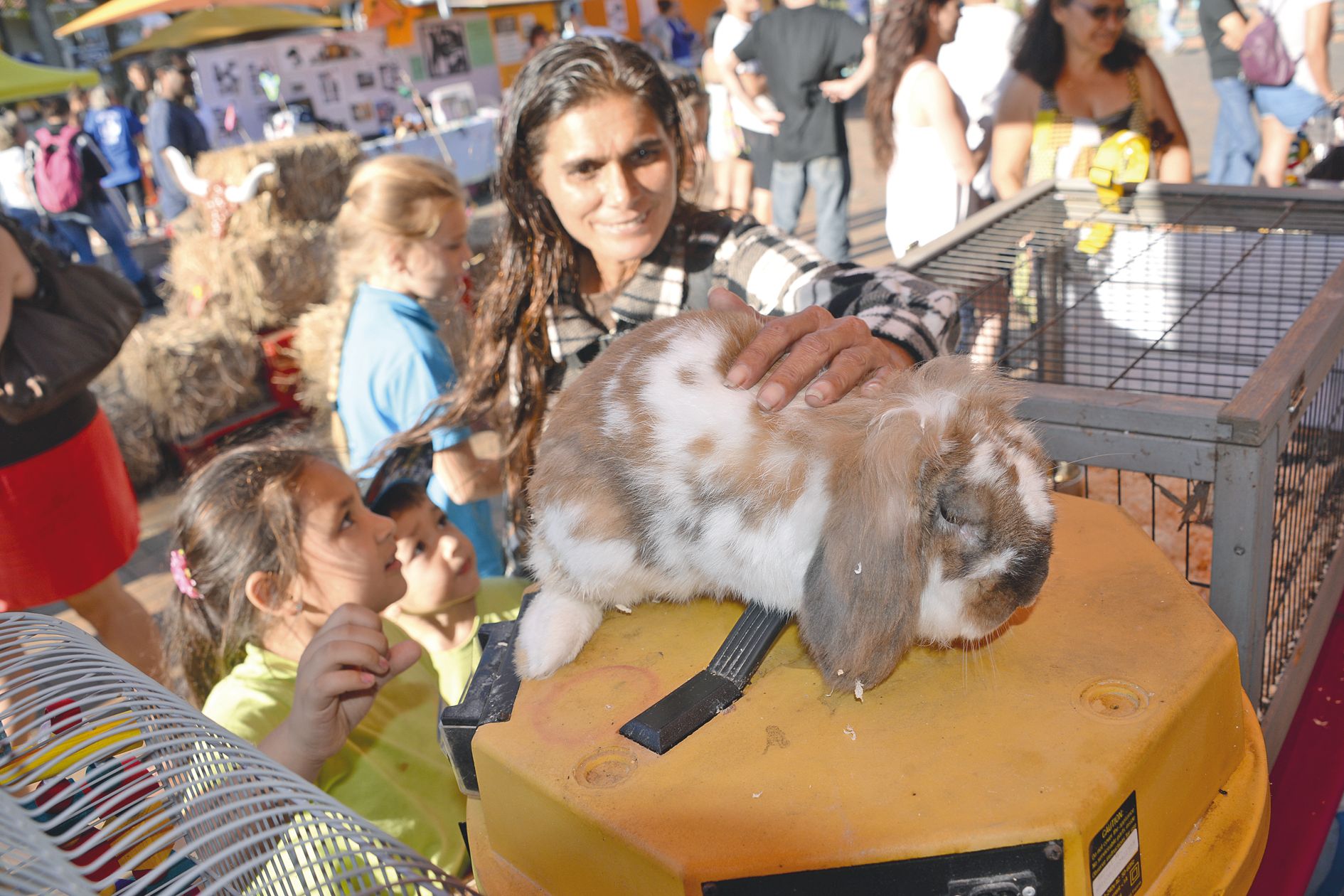 Lapins à poil long ou court, cochons d’Inde, plusieurs animaleries étaient également là pour conseiller les visiteurs qui recherchaient un lagomorphe ou un rongeur.