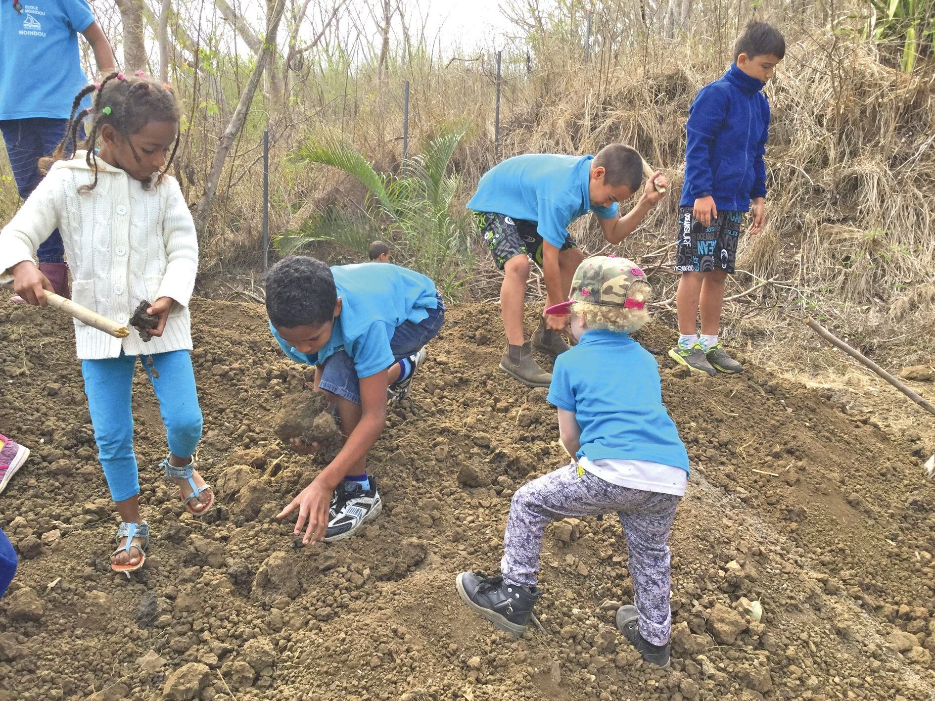 Les écoliers n’ont pas hésité à plonger leurs mains dans la terre pour  la préparer comme il se doit avant la plantation des cultures.