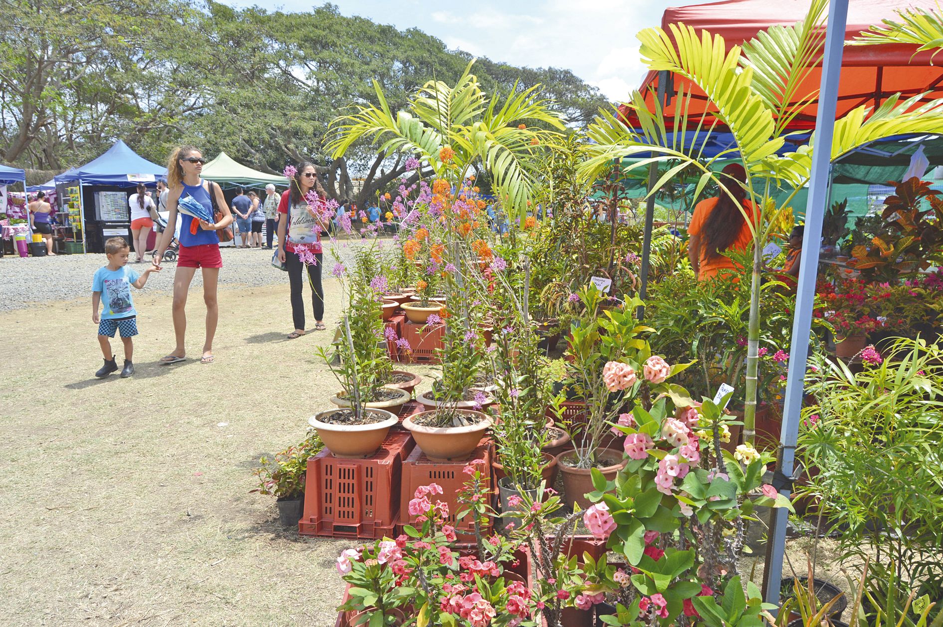 « Le public qu’on attendait ce matin [samedi] était présent », s’est félicité Elody Virot, du Cosh. Fidèles ou nouveaux  exposants étaient réunis autour et dans la salle polyvalente. « Les plantes de haie et de rocaille font doucement leur  retour sur le 