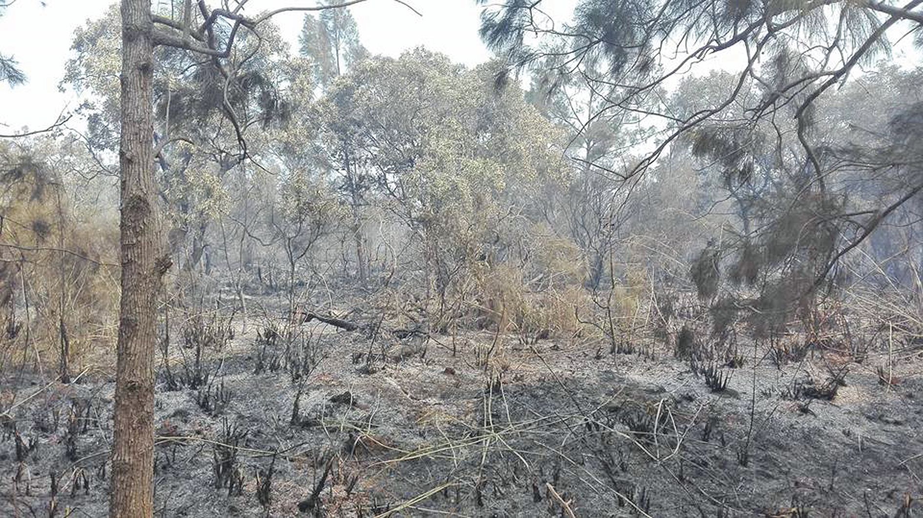 La terre très sèche après plusieurs semaines sans pluie, ainsi que des alizés soutenus ont favorisé la propagation des flammes. 562 hectares sont partis en fumée.