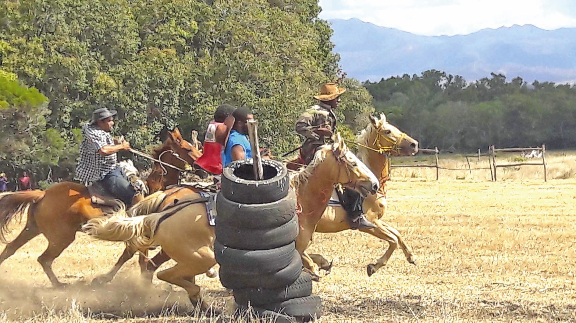 Le stock local est réservé aux stockmen des tribus. « Une épreuve qui nous permet de se défouler comme les stockmen aguerris et confirmés », commente Michel Ouchot, président du CASKG.