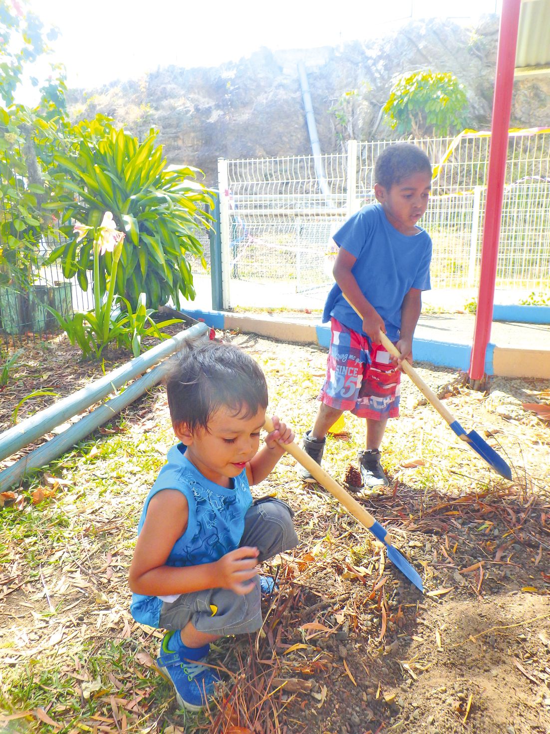 Au centre de loisirs de l’Acaf, à l’école Les Myosotis, à Koutio, les enfants de 3 à 6 ans ont participé à des activités autour du thème « La ferme en folie ». Ici, des petits jardiniers  en herbe embellissent l’école.