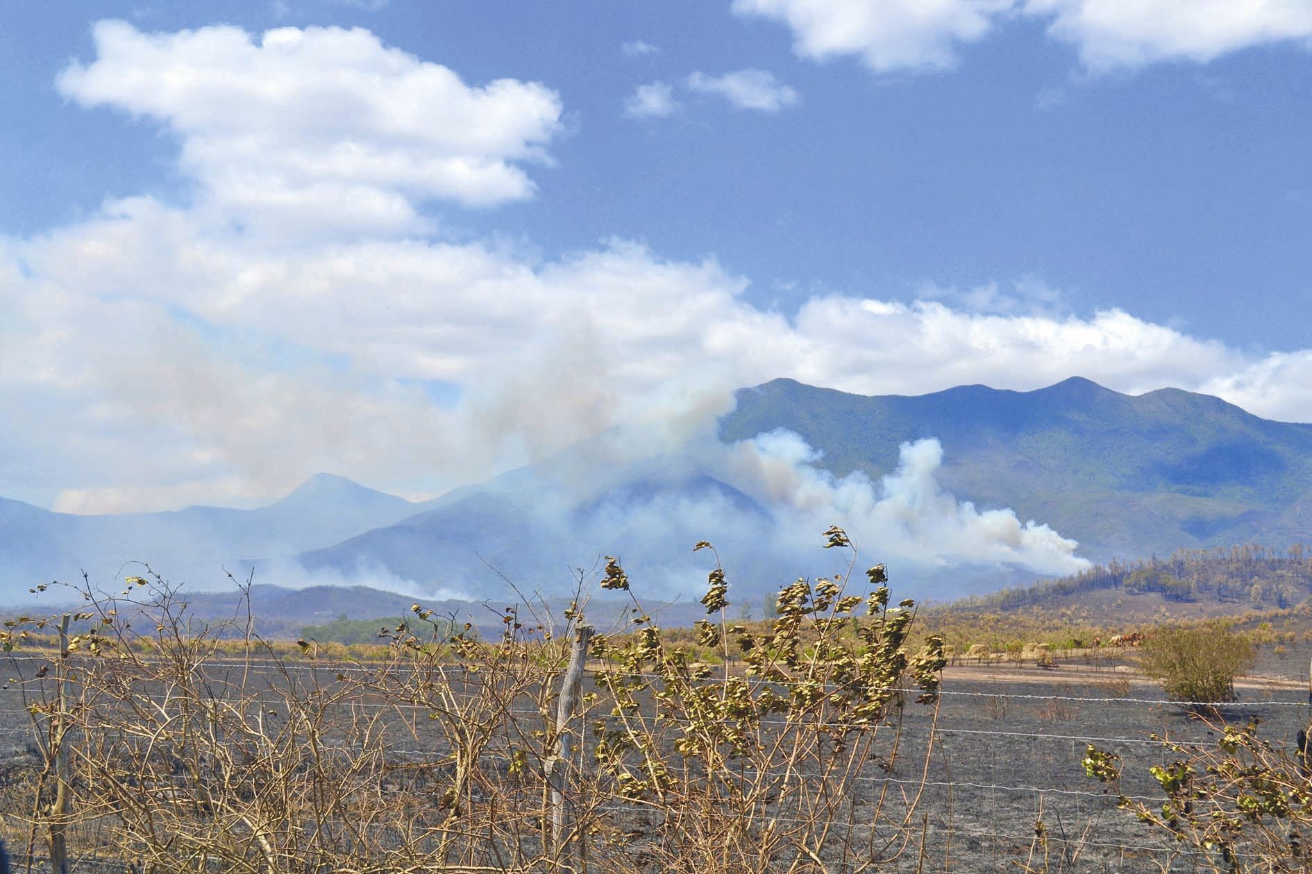 L’incendie de jeudi s’est déporté du côté des montagnes, peu accessibles, nécessitant les bombardiers d’eau.