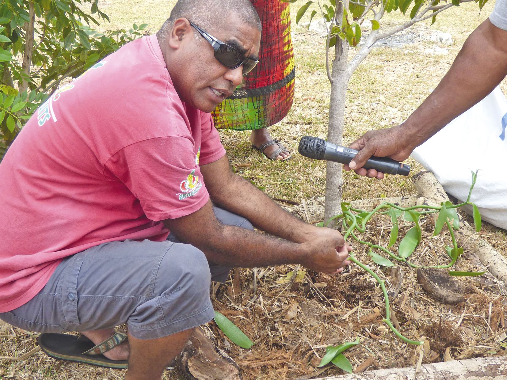 Jean-Paul Lolo a partagé longuement ses connaissances en matière de plantation de vanille.