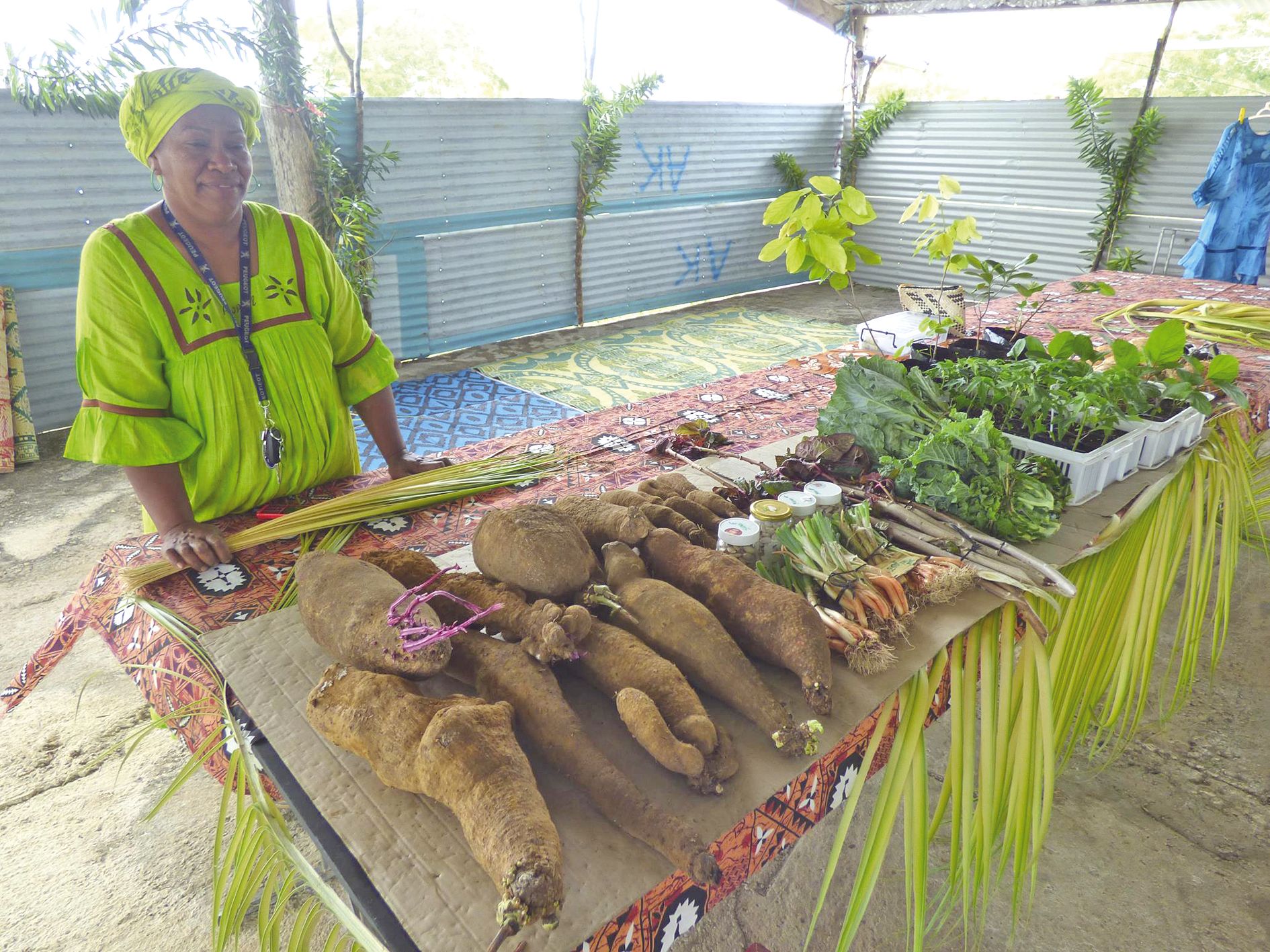 Sur le marché, les étals des producteurs agricoles et maraîchers étaient particulièrement riches en fruits et en légumes bio. La large gamme de variétés d’ignames ou encore le miel ont fait le bonheur du public.
