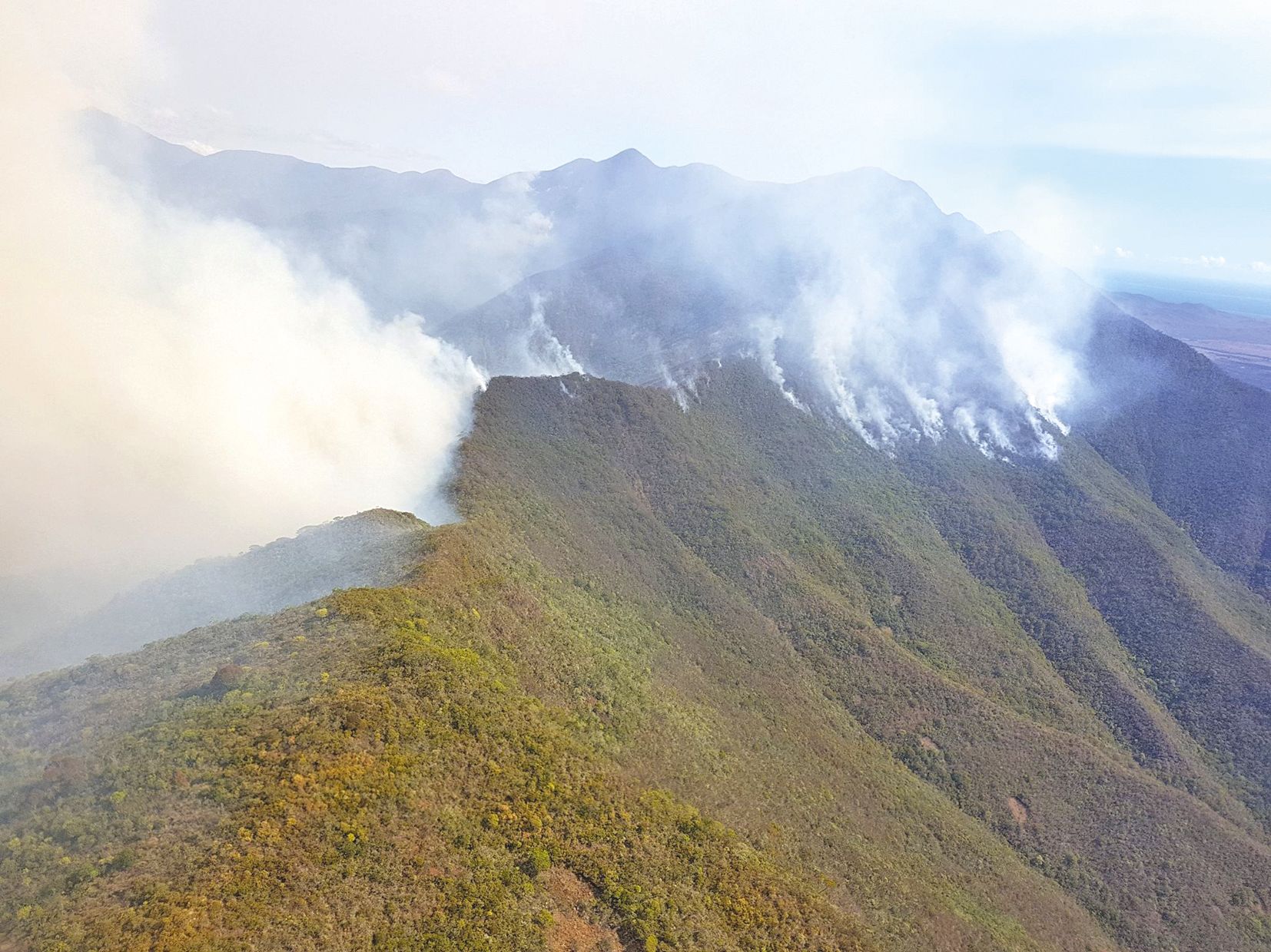 La fumée visible ce week-end sur les crêtes de Tontouta. Si la vallée touchée n’a jamais été inventoriée, les botanistes savent que c’est une zone de biodiversité rare.